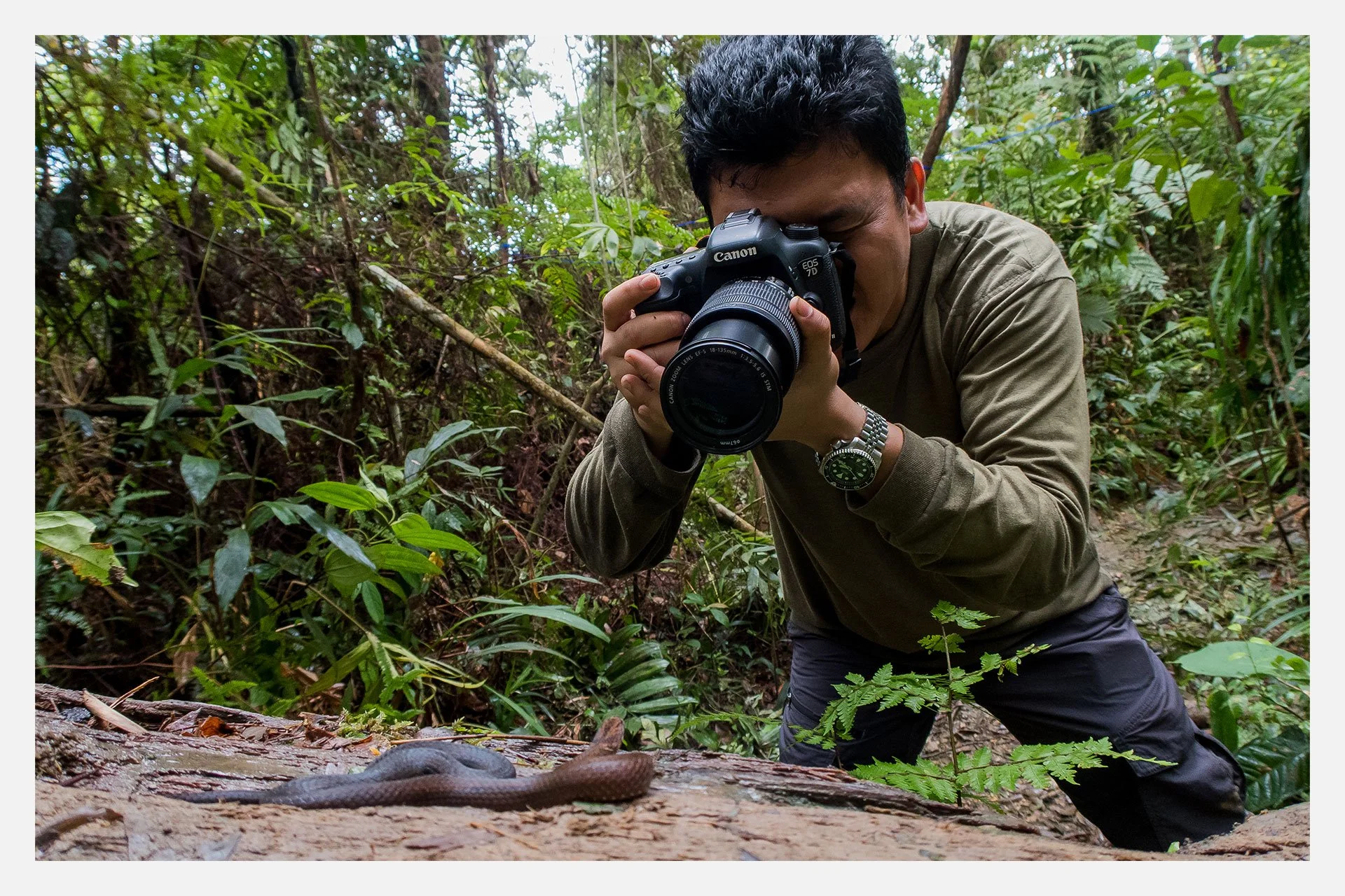 Man photographing snake in jungle environment