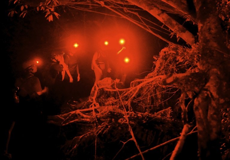 Group of people exploring a forest at night with red headlamps