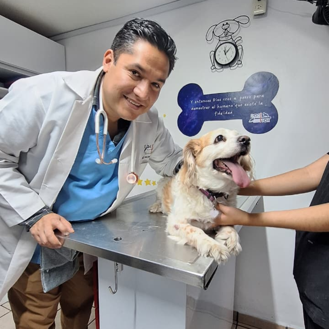 Veterinaria Pachuca