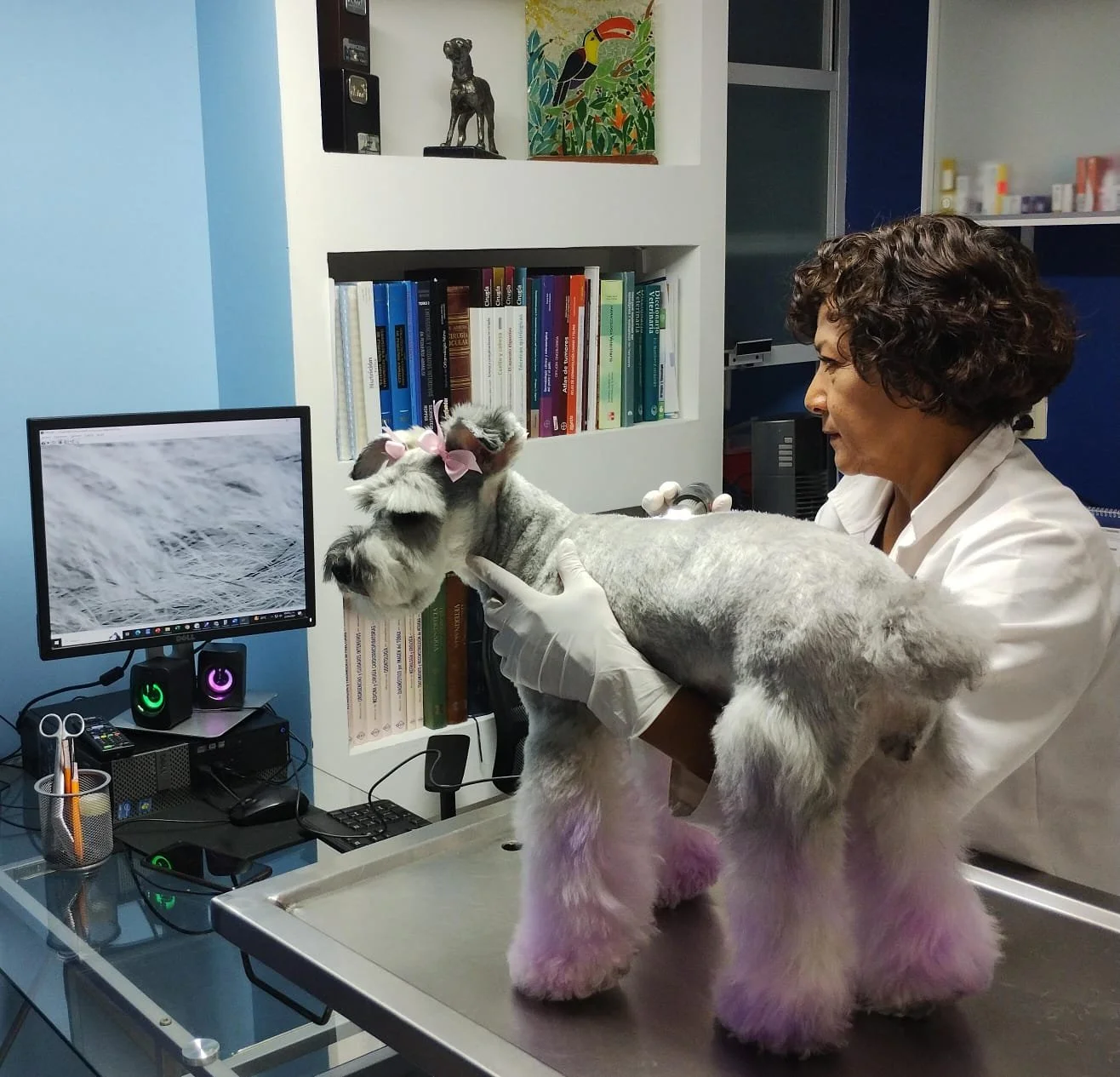 WhatsApp Image 2024-07-21 at 2.01.18 PM.jpg