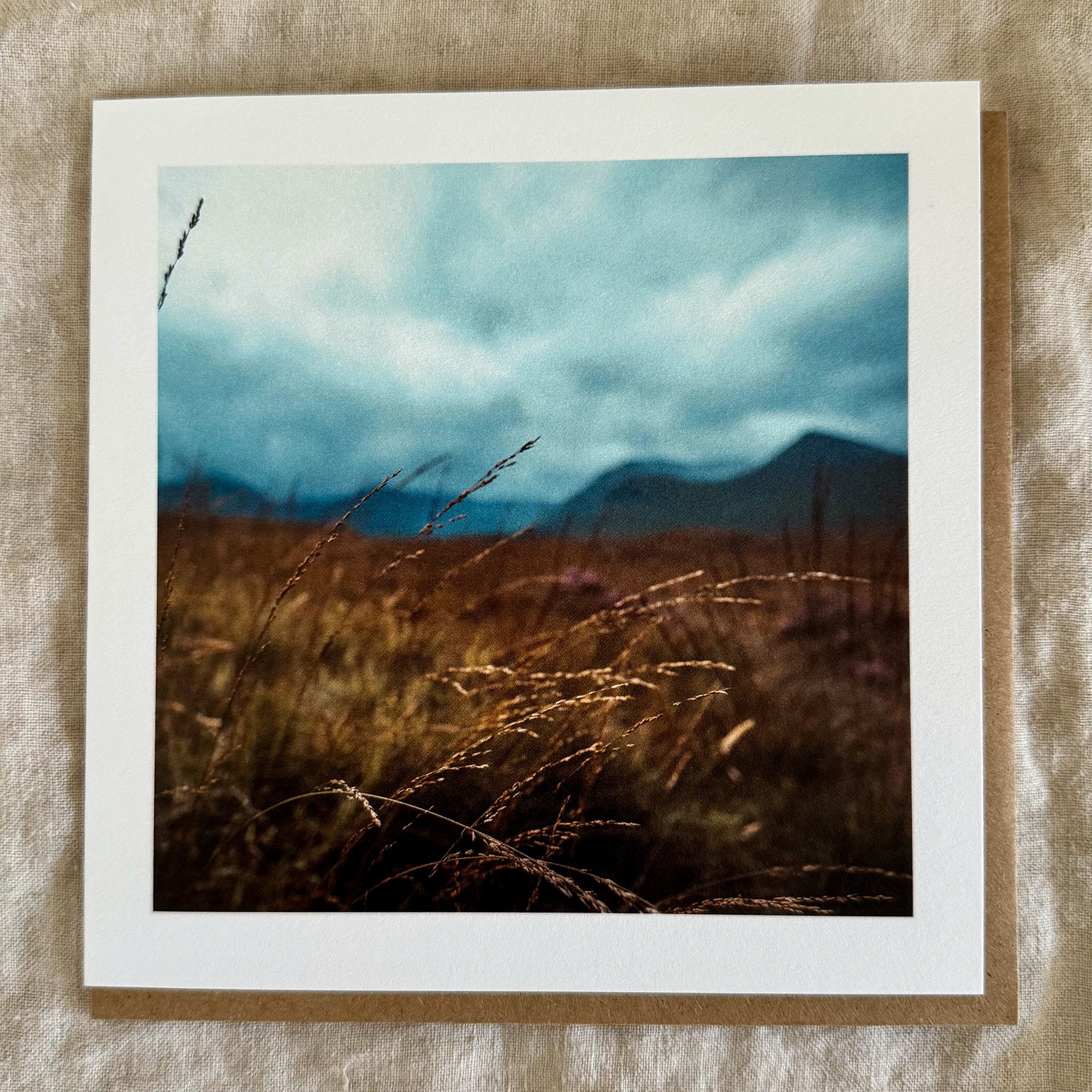Luxury greeting card featuring windblown reeds in the foreground with distant misty mountains.