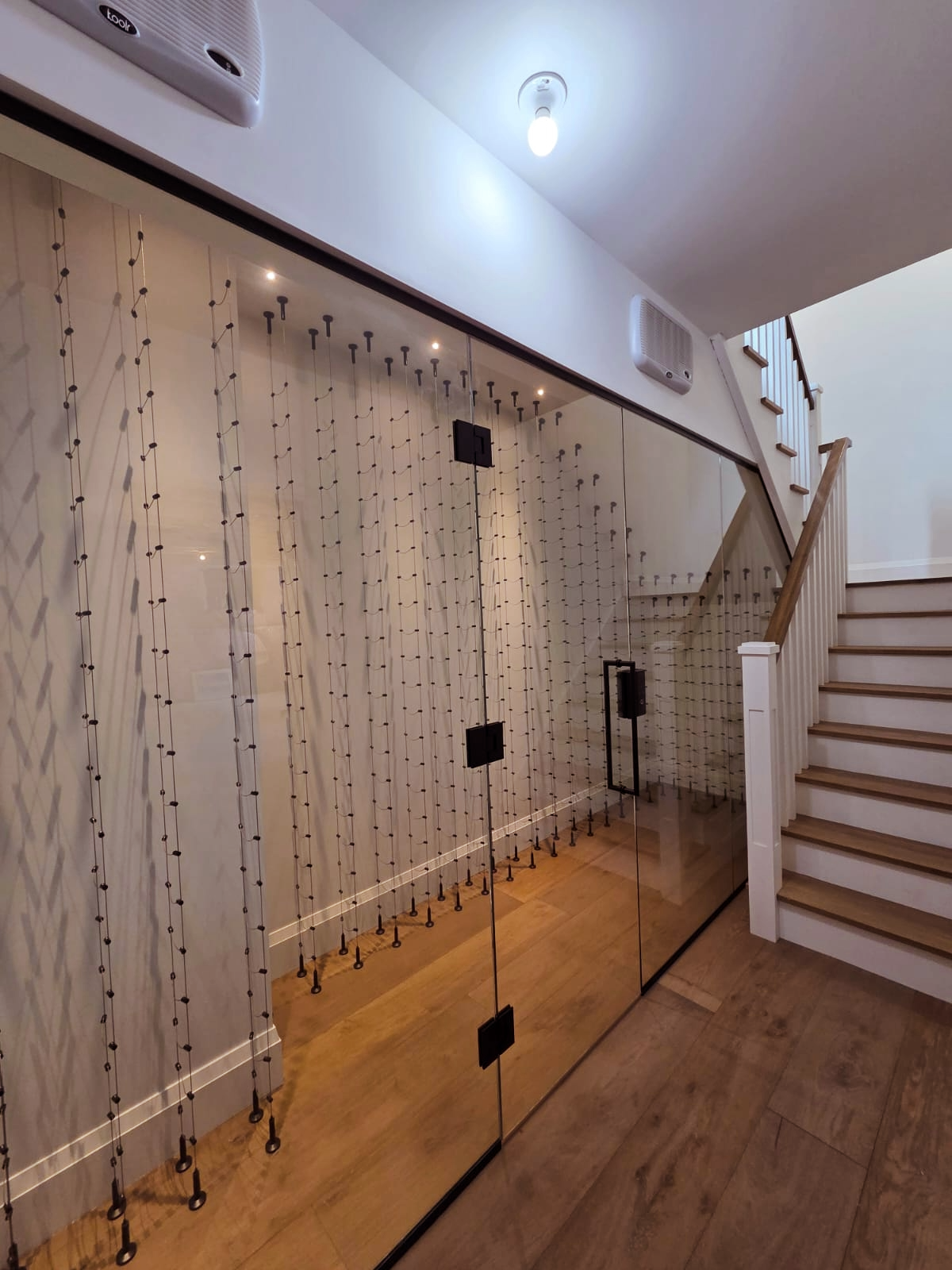 edited-photo (6).png