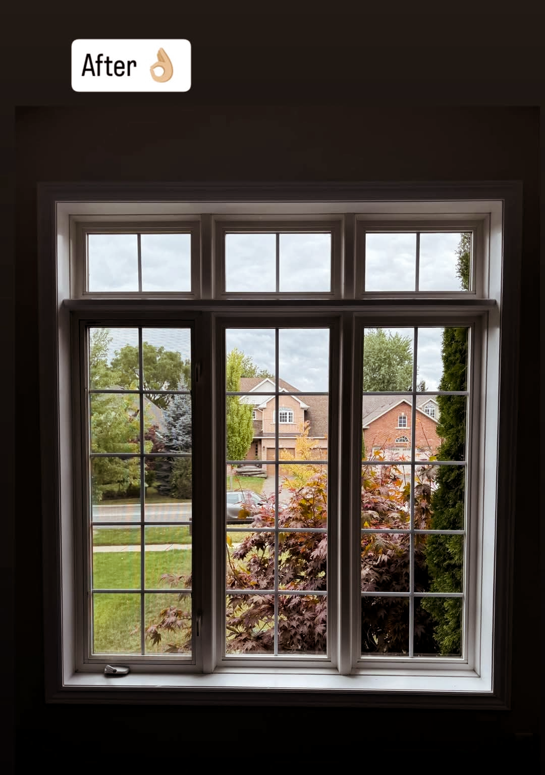 edited-photo (22).png