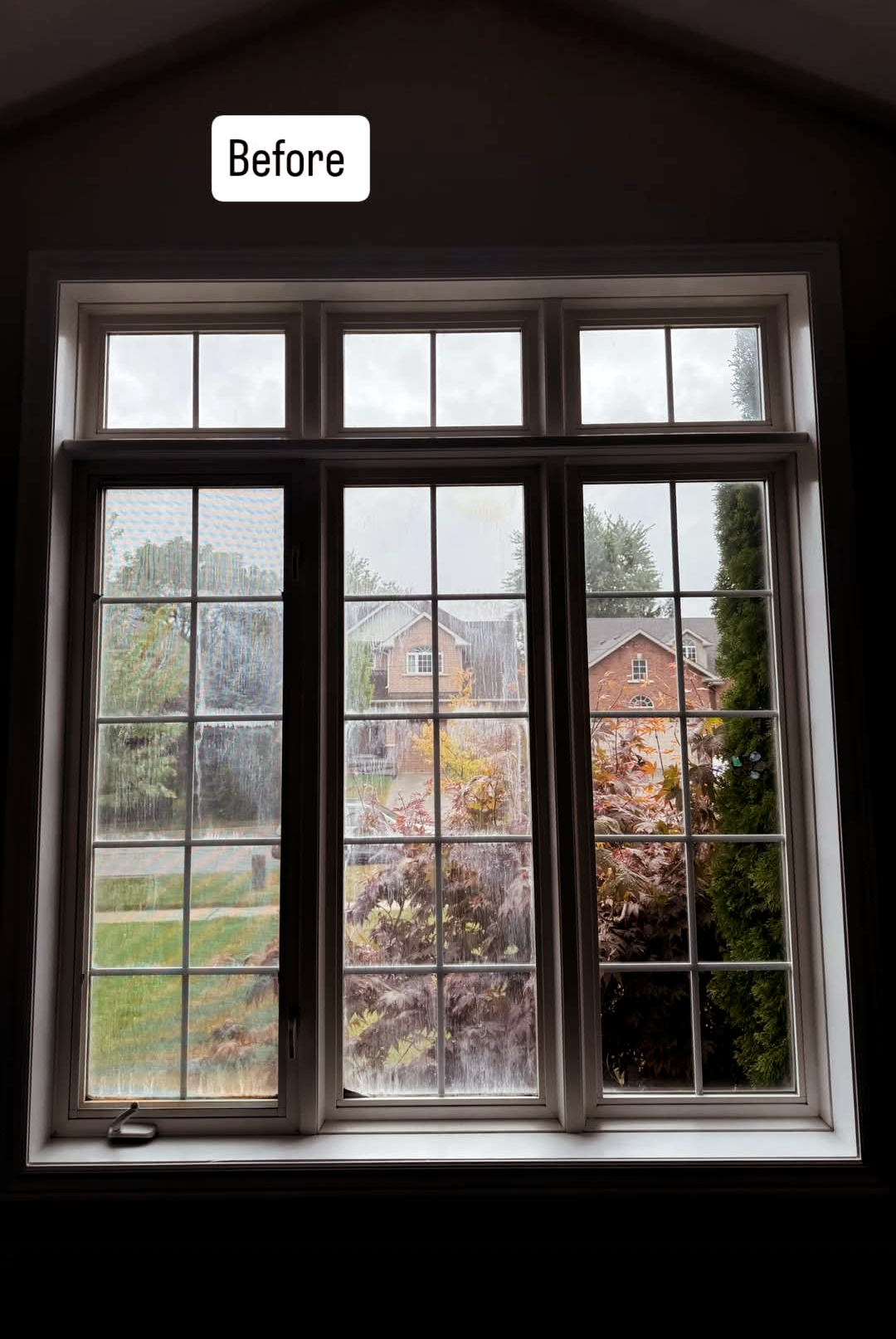 edited-photo (21).png