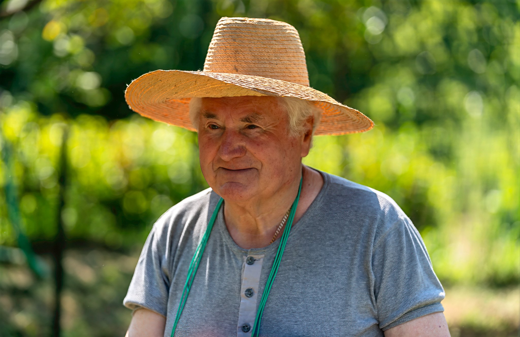 Tuscan Arborist in Olive Grove