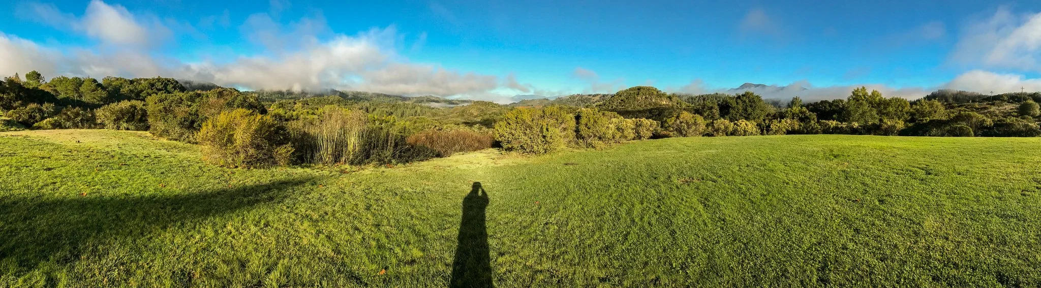 Bringing Vision to Value