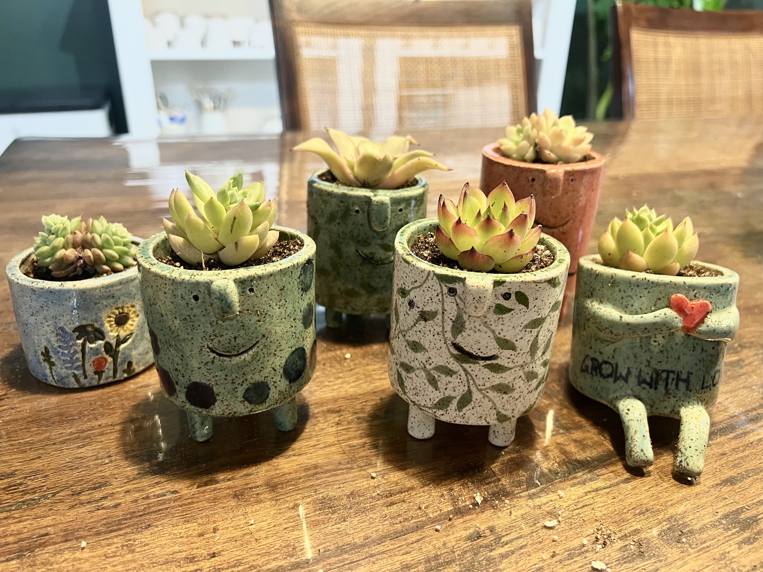 Pottery Paint & Sip - Plant Pots