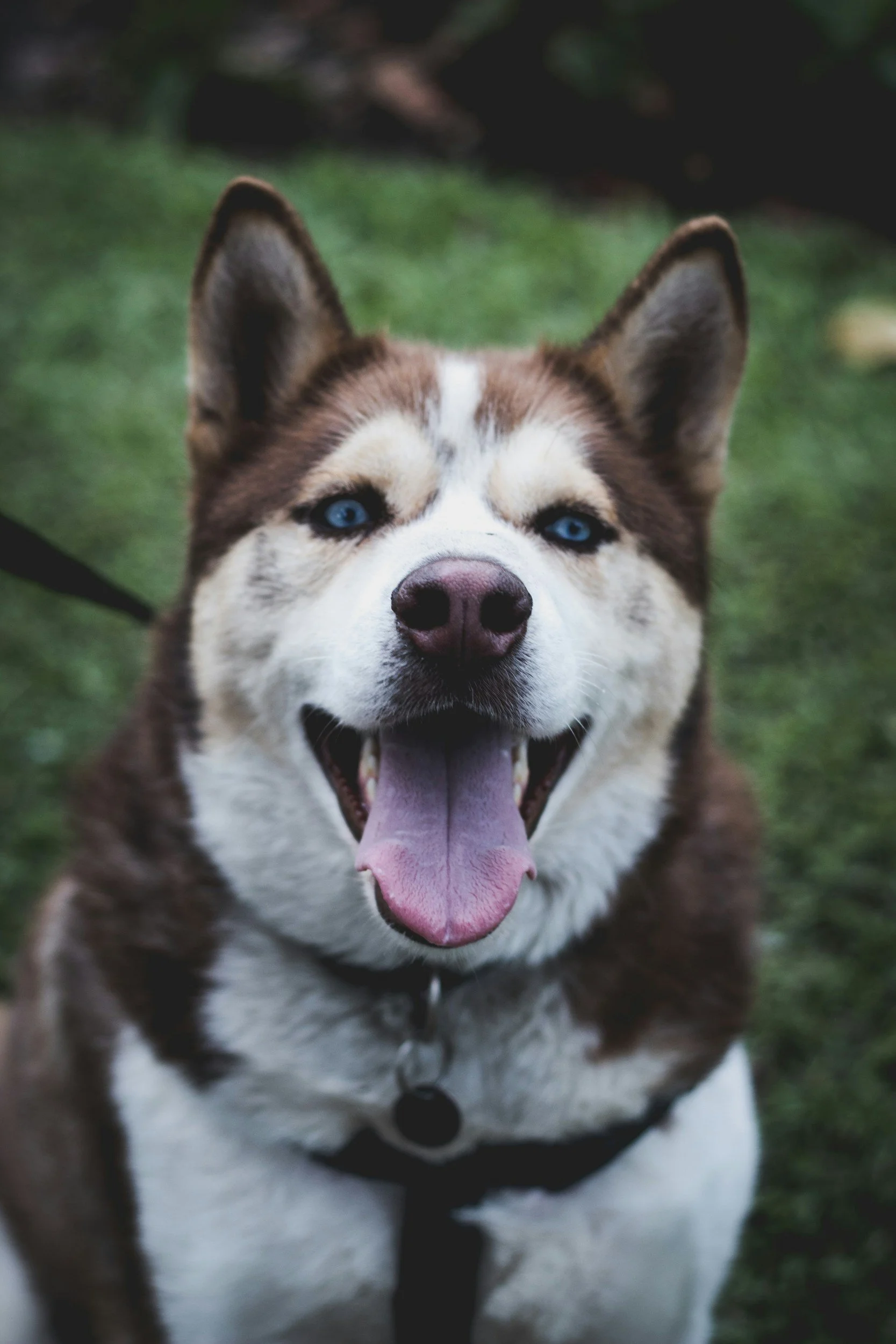 unsplash-image-Ri6DjpT7uPc.jpg