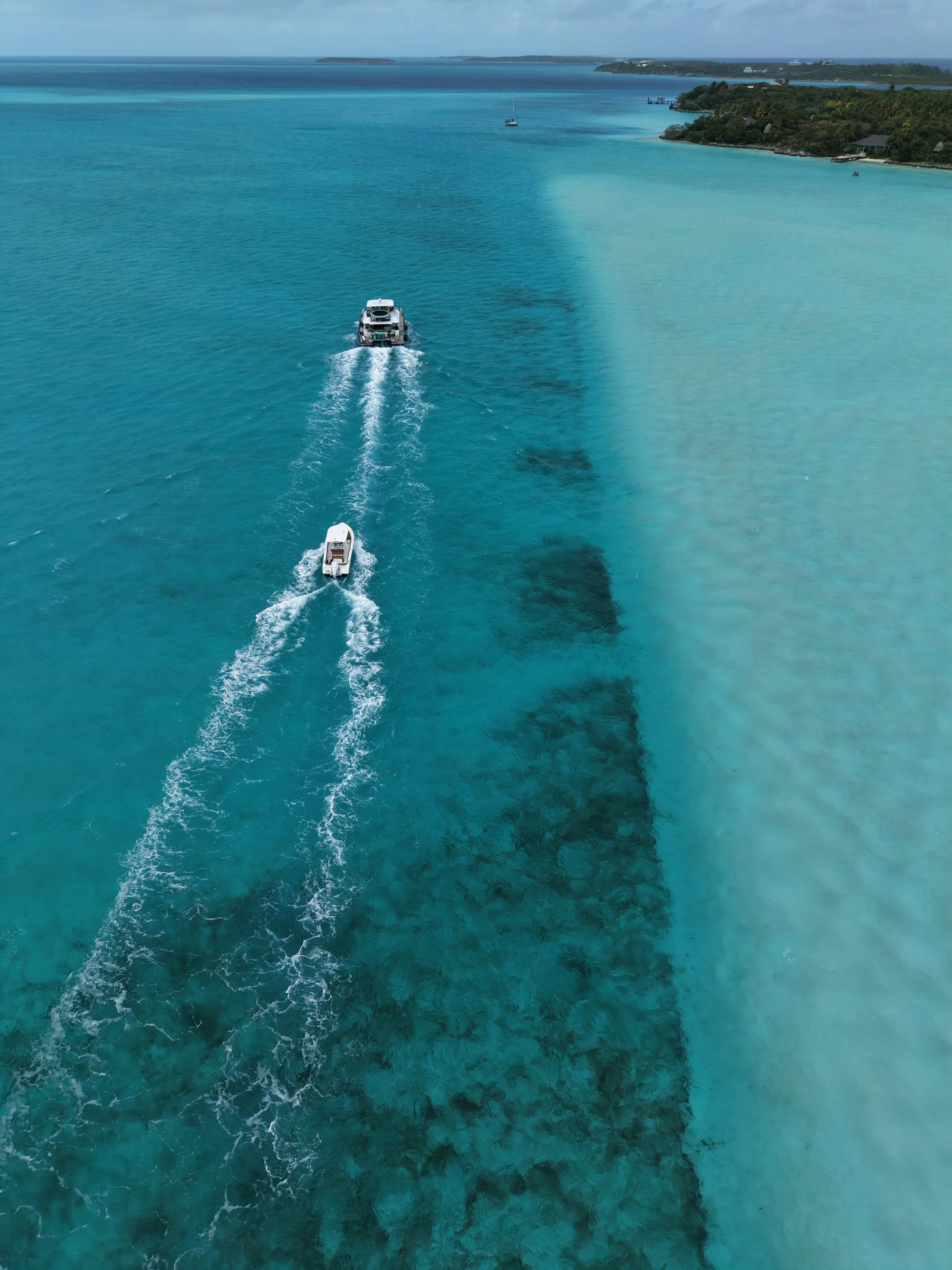 dji_fly_20260306_110948_0040_1772895629747_photo.jpeg