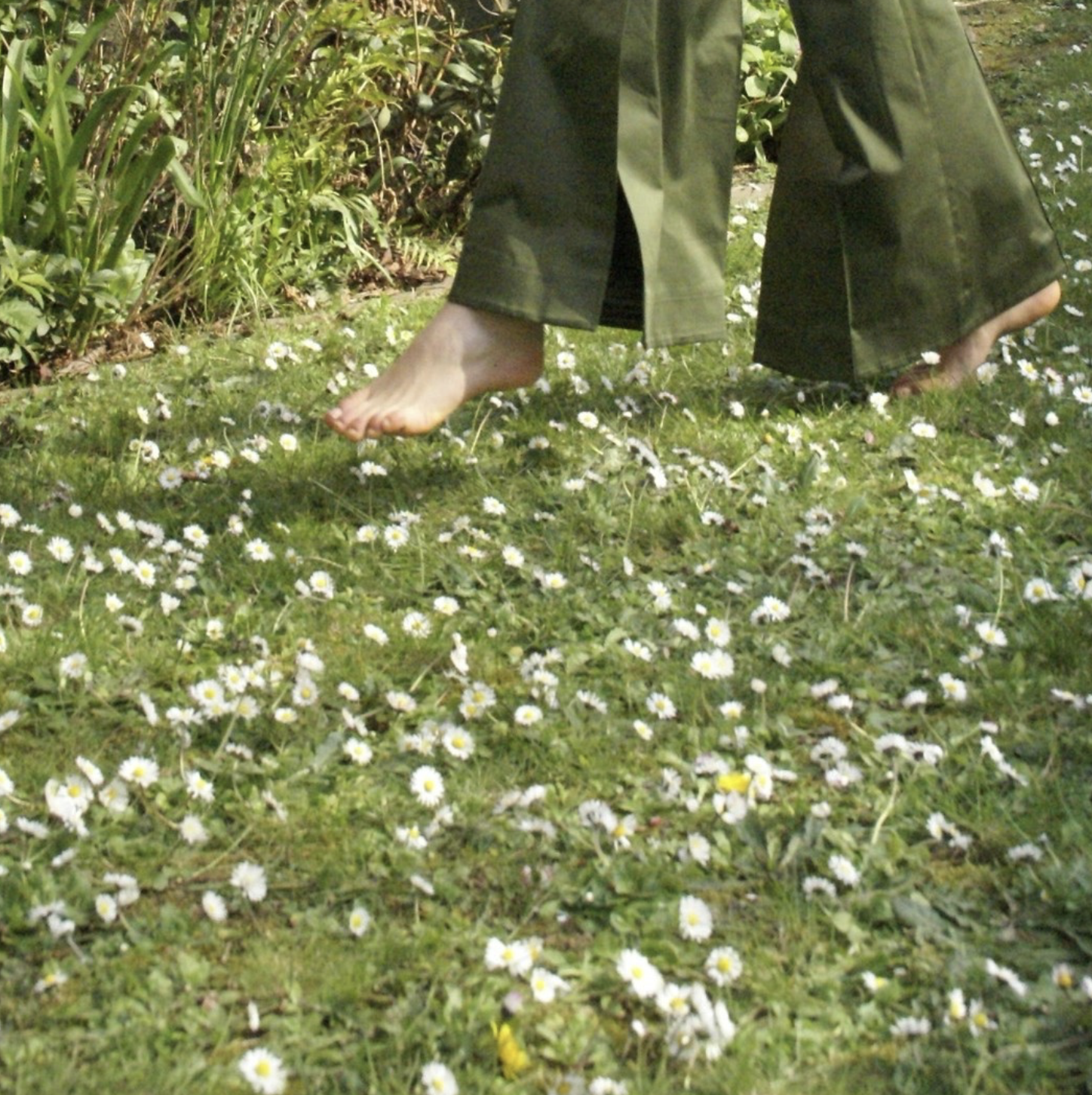 Screenshot 2025-02-12 at 10.54.54 AM.png