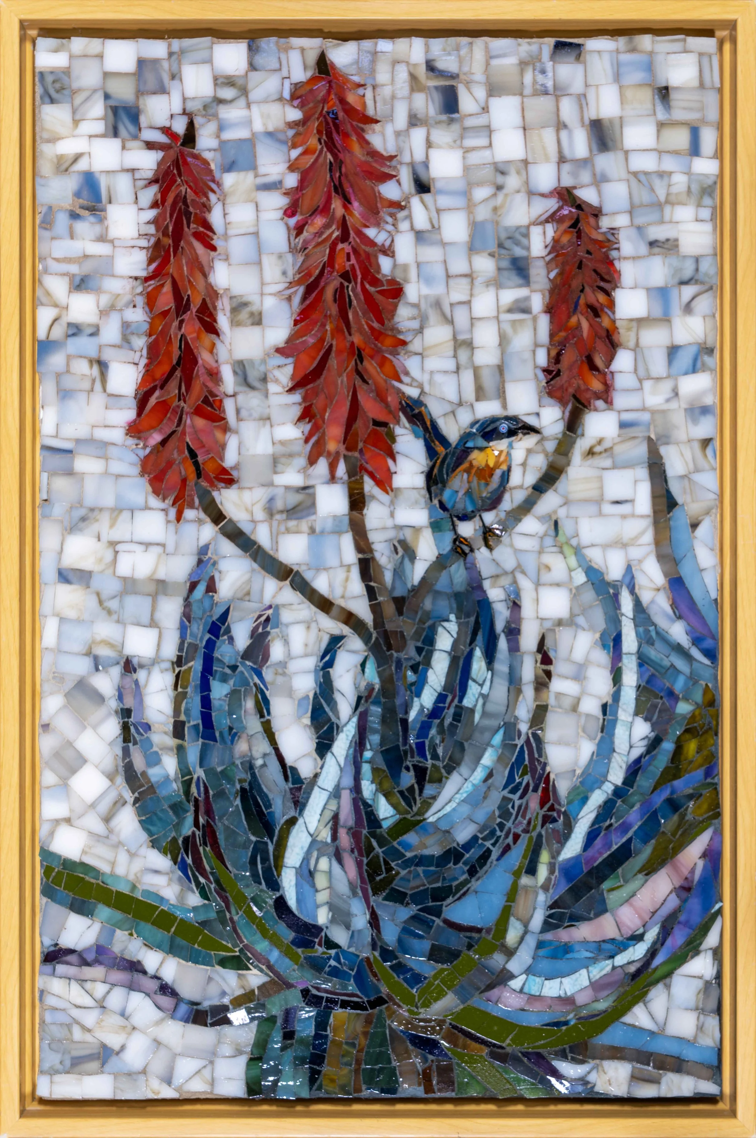 The Little Blue Bird sitting in Big Red Aloe