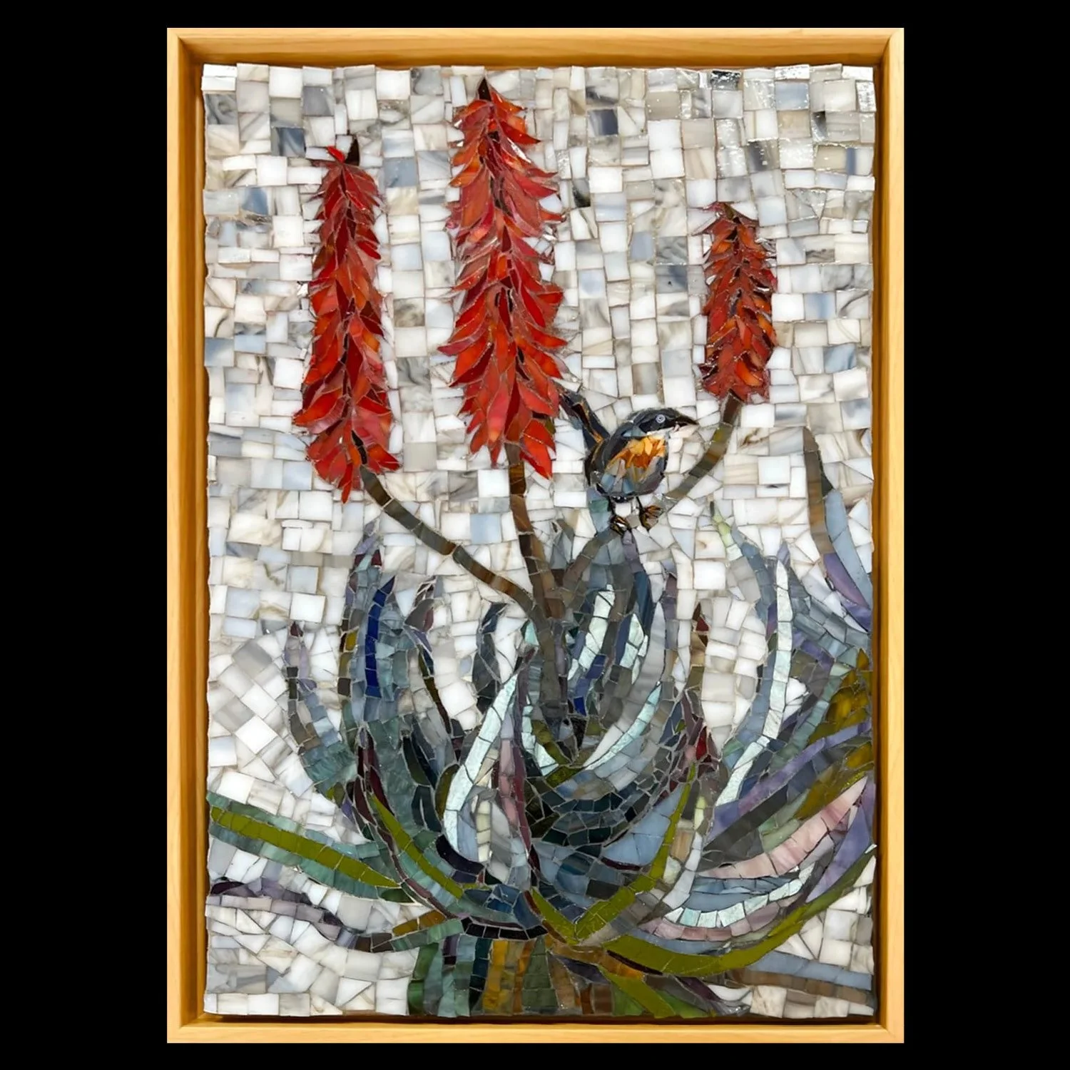Blue Bird in Big Red Aloe.jpg
