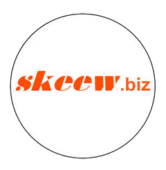 Logo with the text 'skeew.biz' in orange font on a white circular background