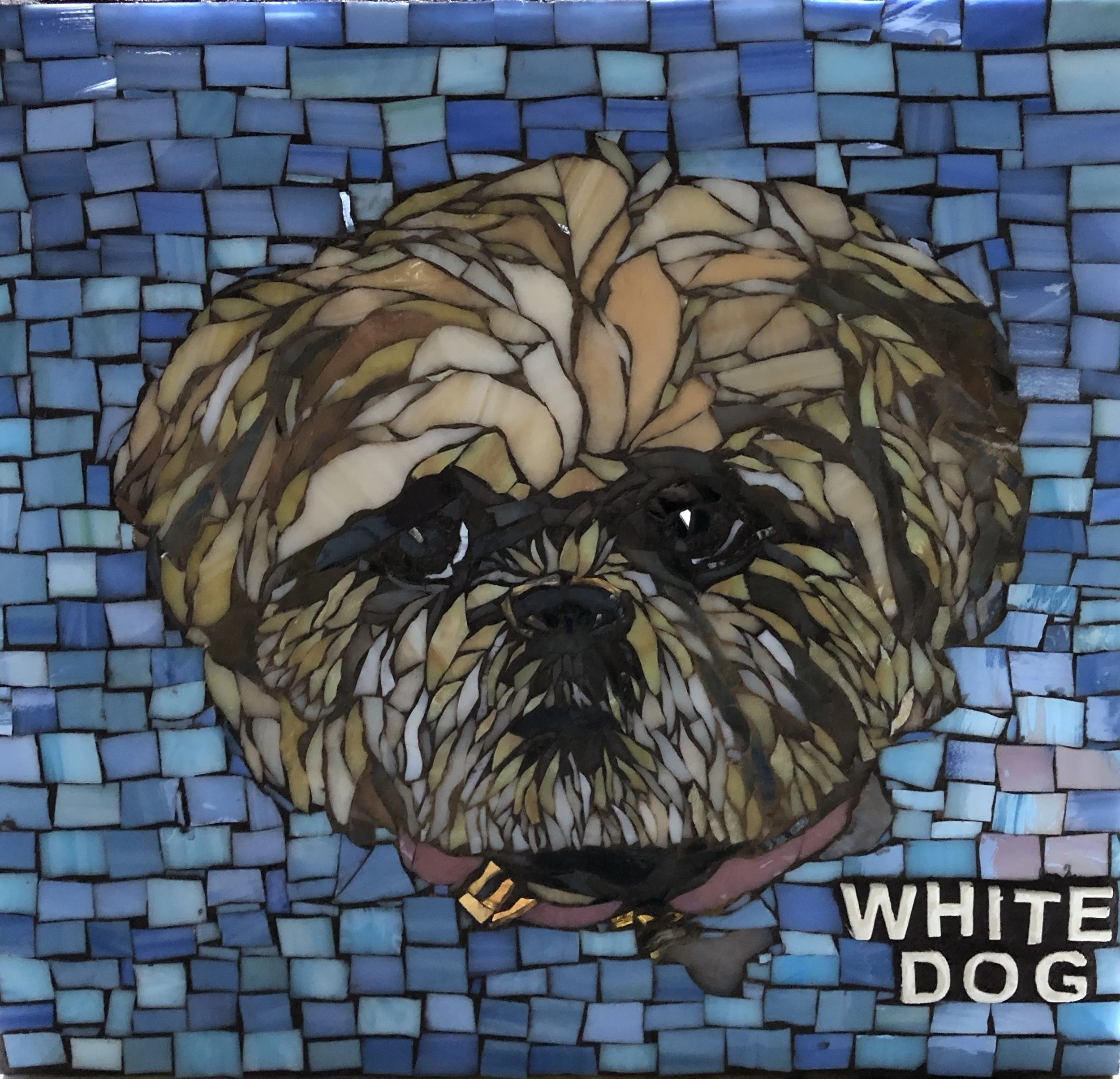 WhiteDog.jpg