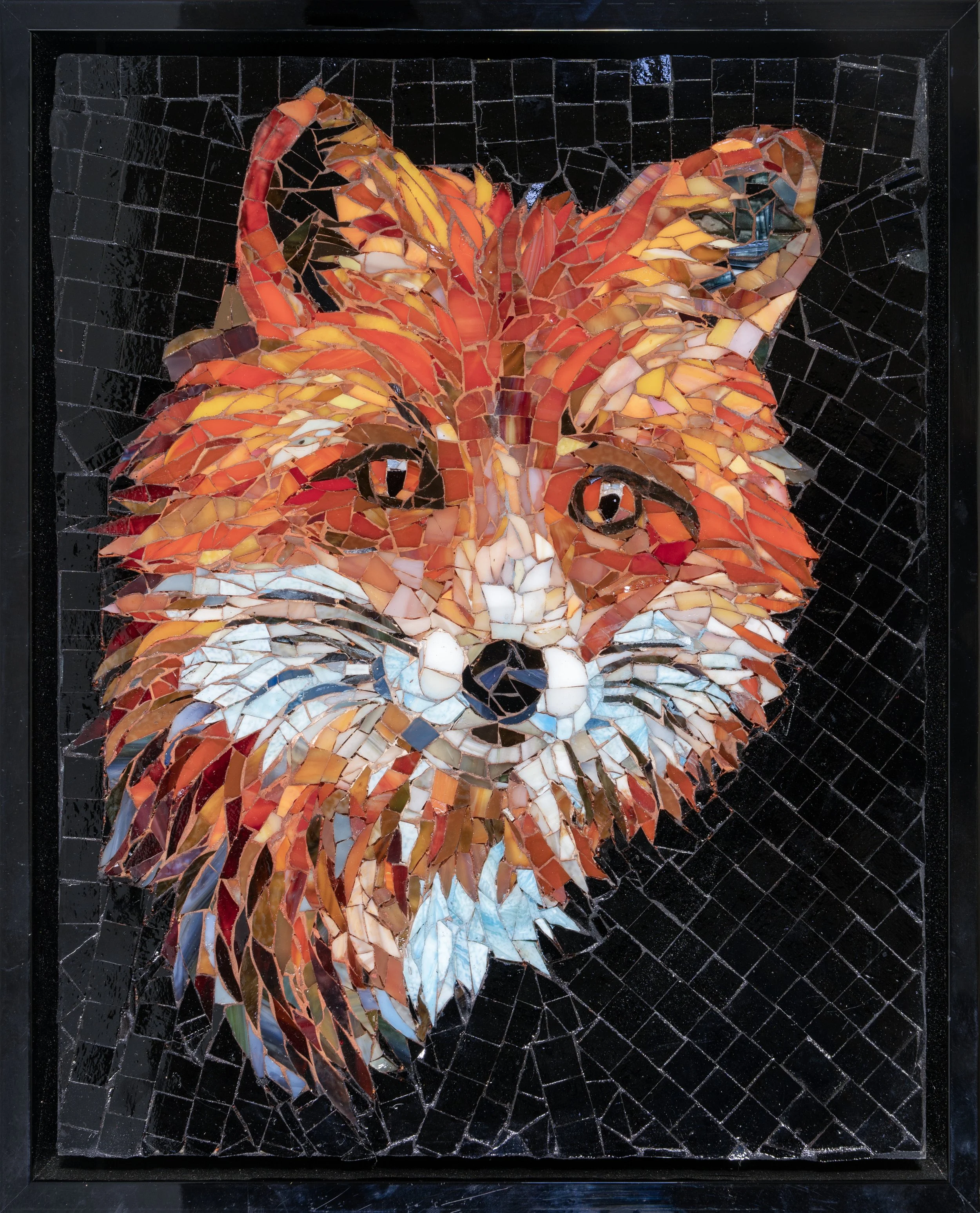 Red Eyes of the Red Fox