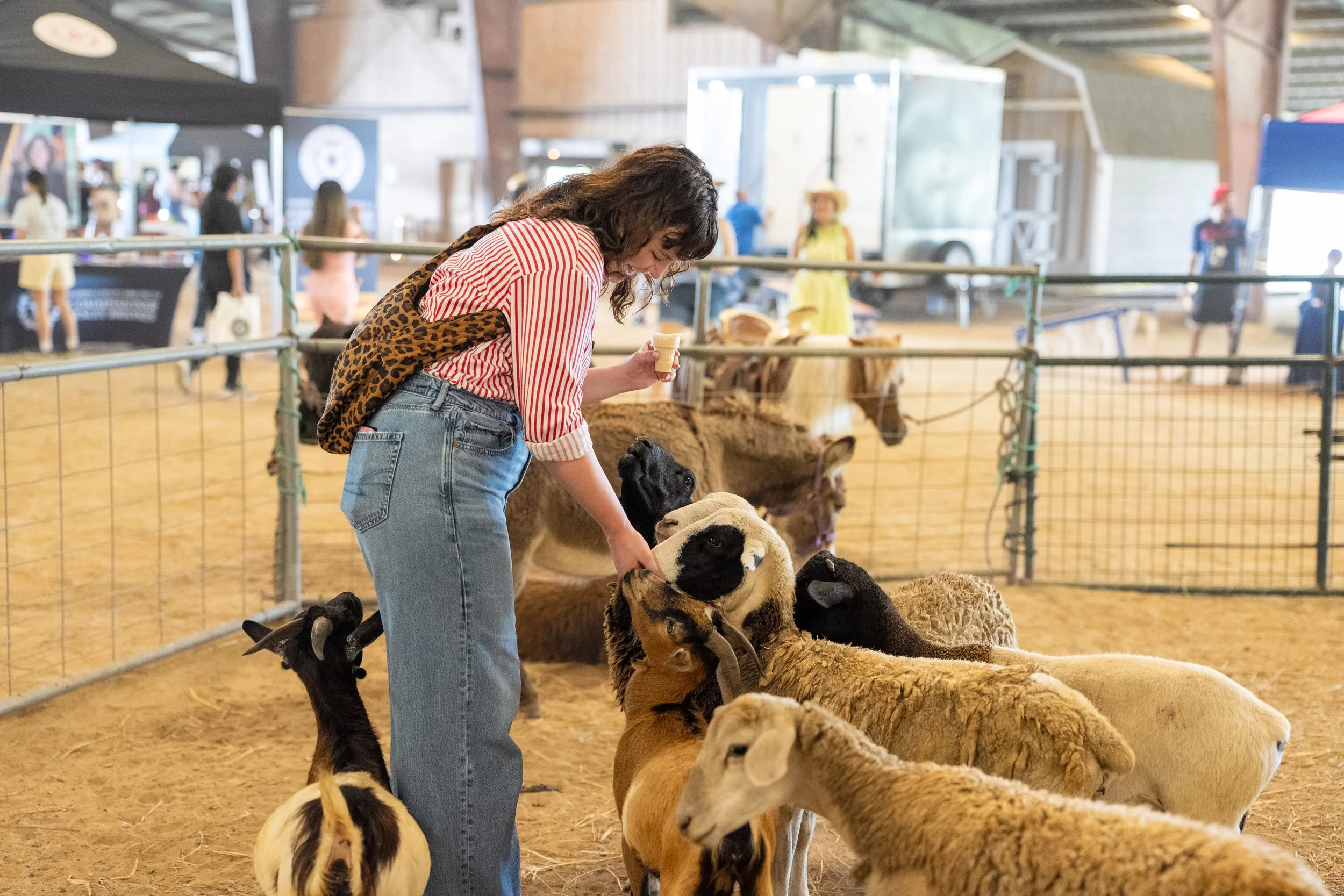 petting-zoo.jpg