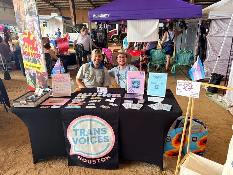 trans-voices-table.JPG