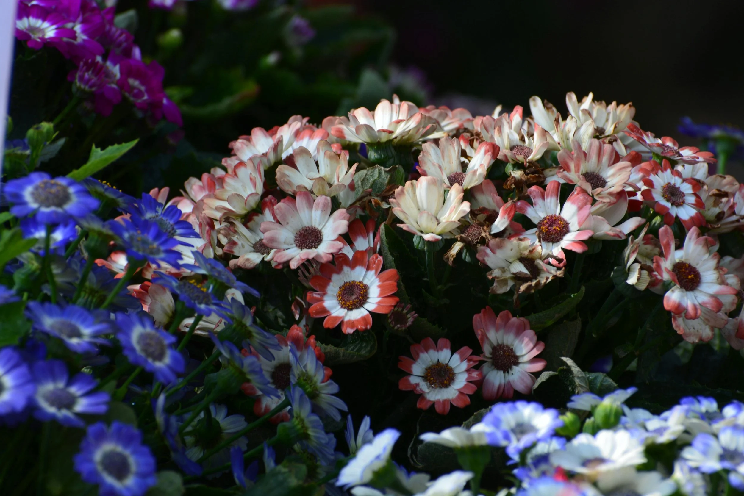 Ultimate Spring Yard Clean Up Guide for Minnesota