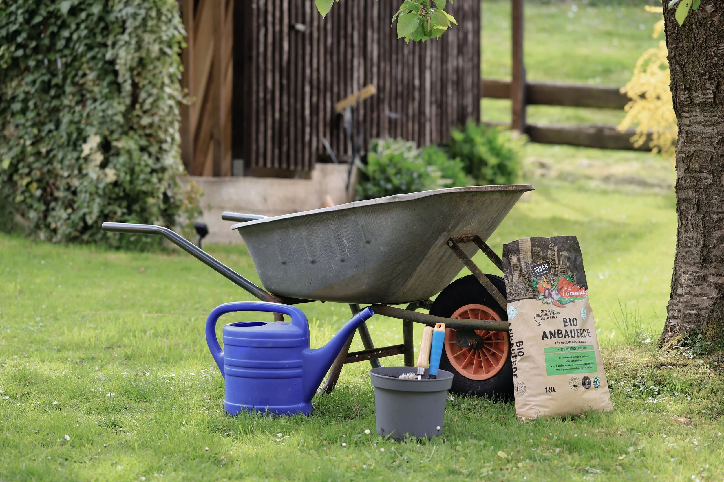 Minnesota Phosphorus Law: A Guide for Homeowners