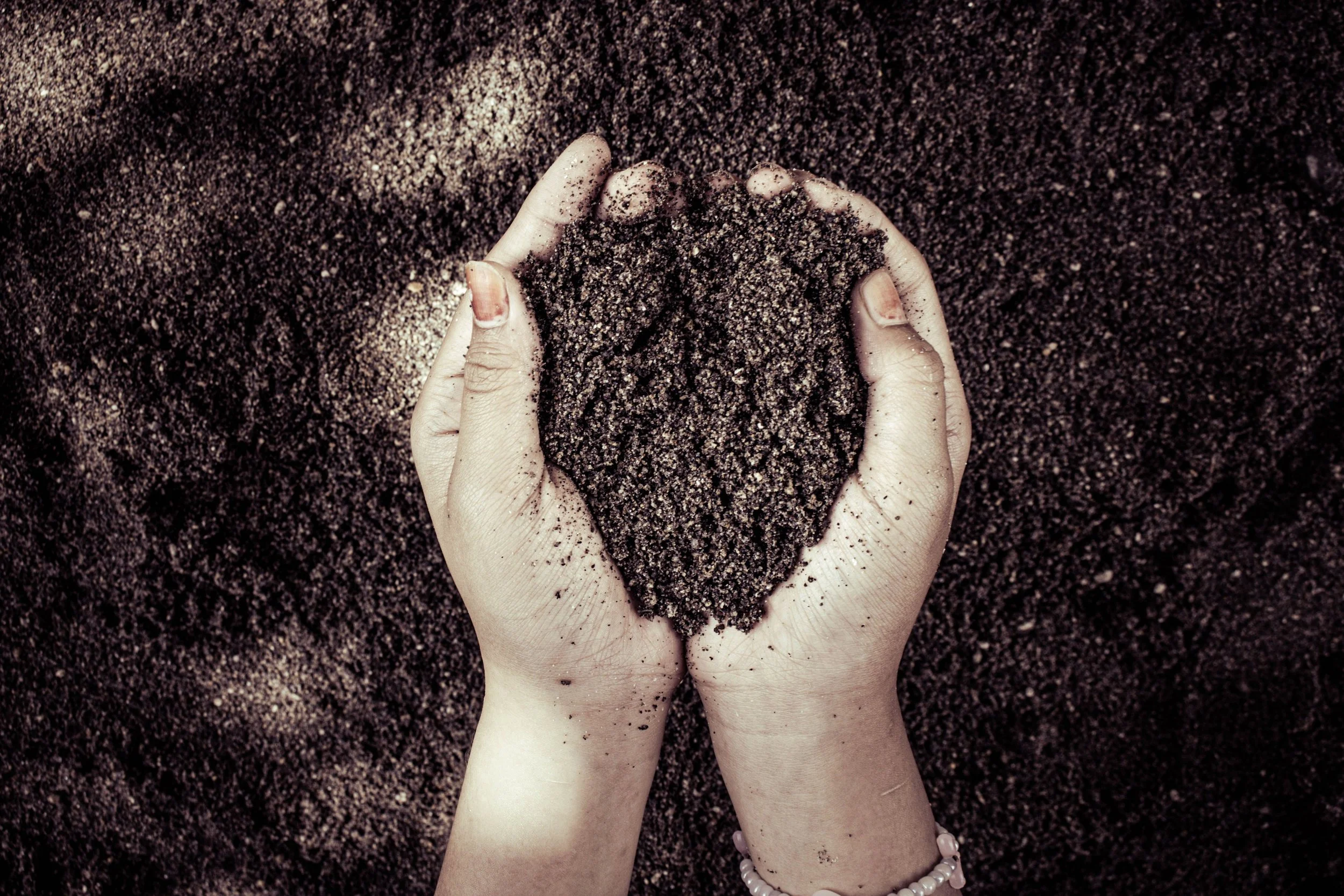 Loam, Clay, or Sand? How to Determine Your Twin Cities Soil Type
