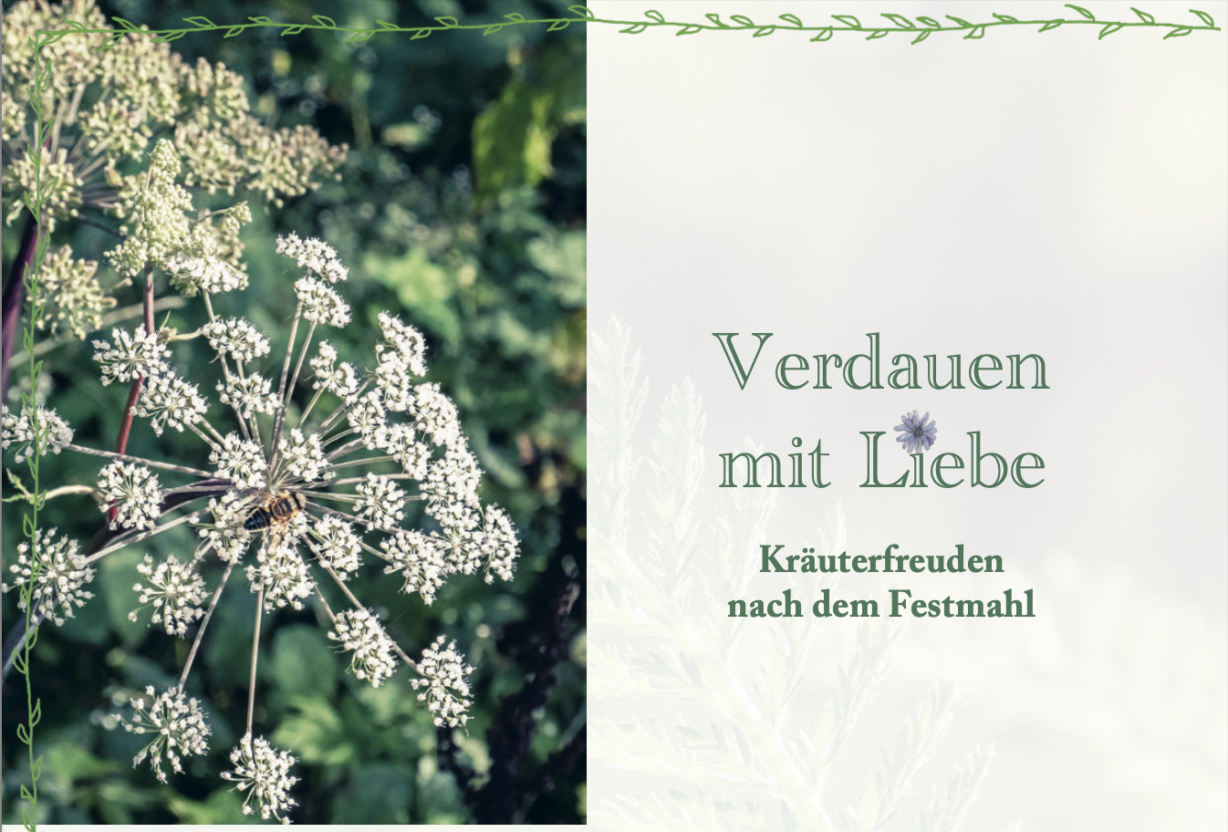 Veröffentlichung in der Holunderelfe - Herbst