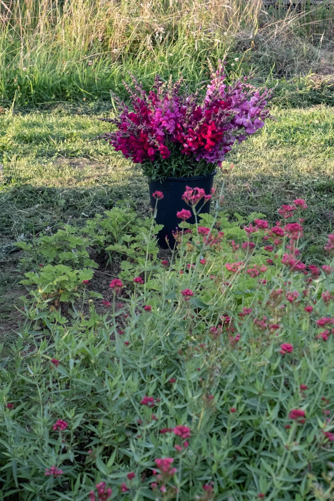 DSCF8418_pu.jpg