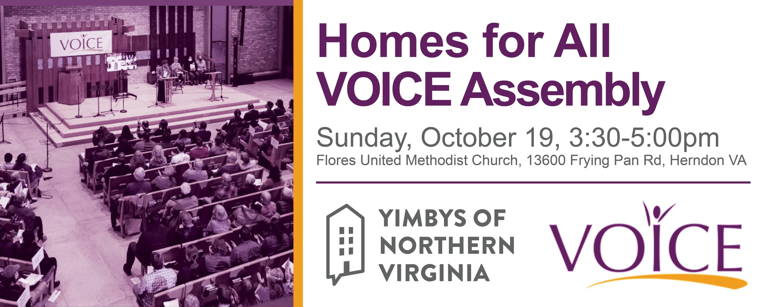 Voice Graphics - Action Network Banner.jpg