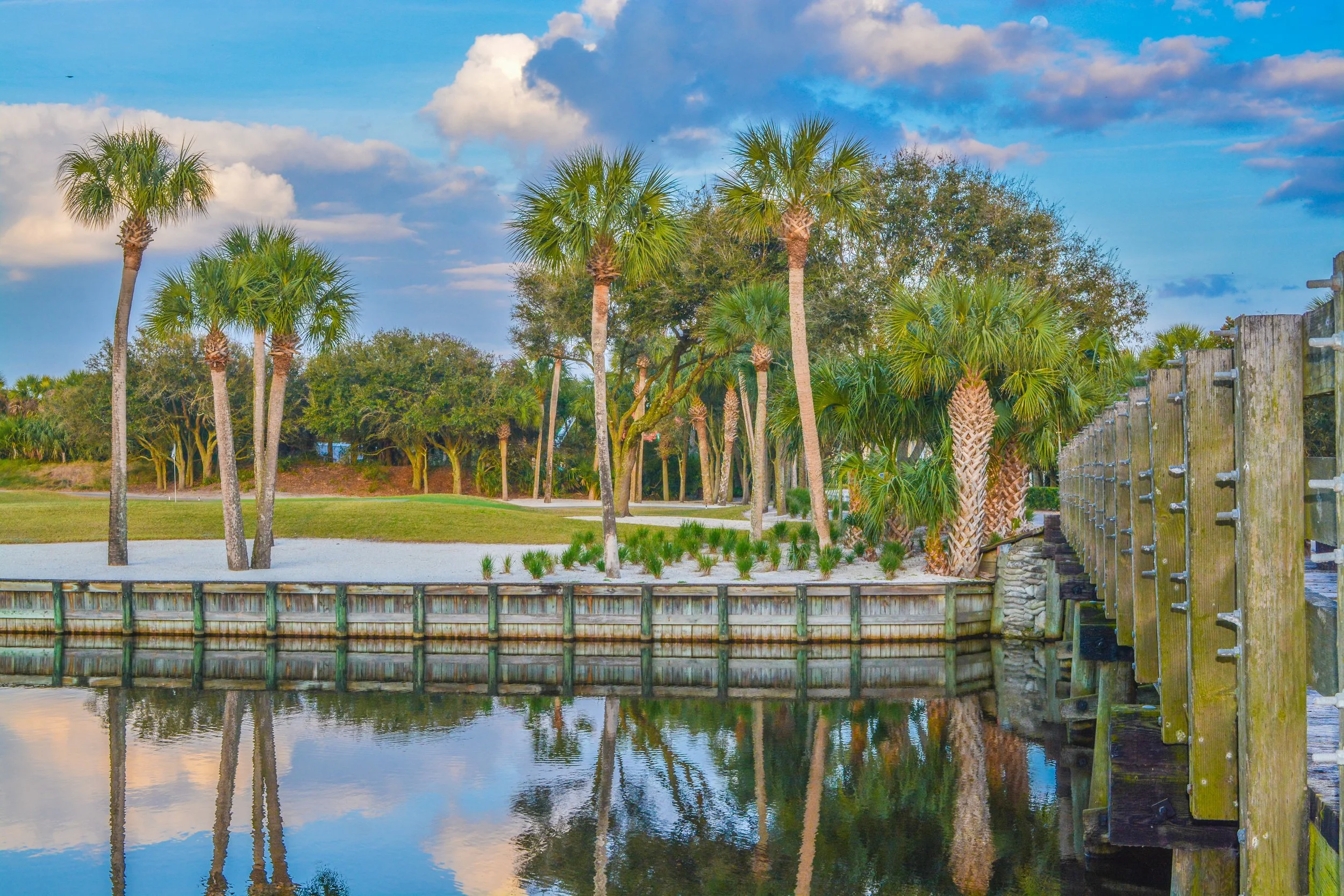 Palm trees on Lake Vedra. Ponte Vedra Beach, Florida