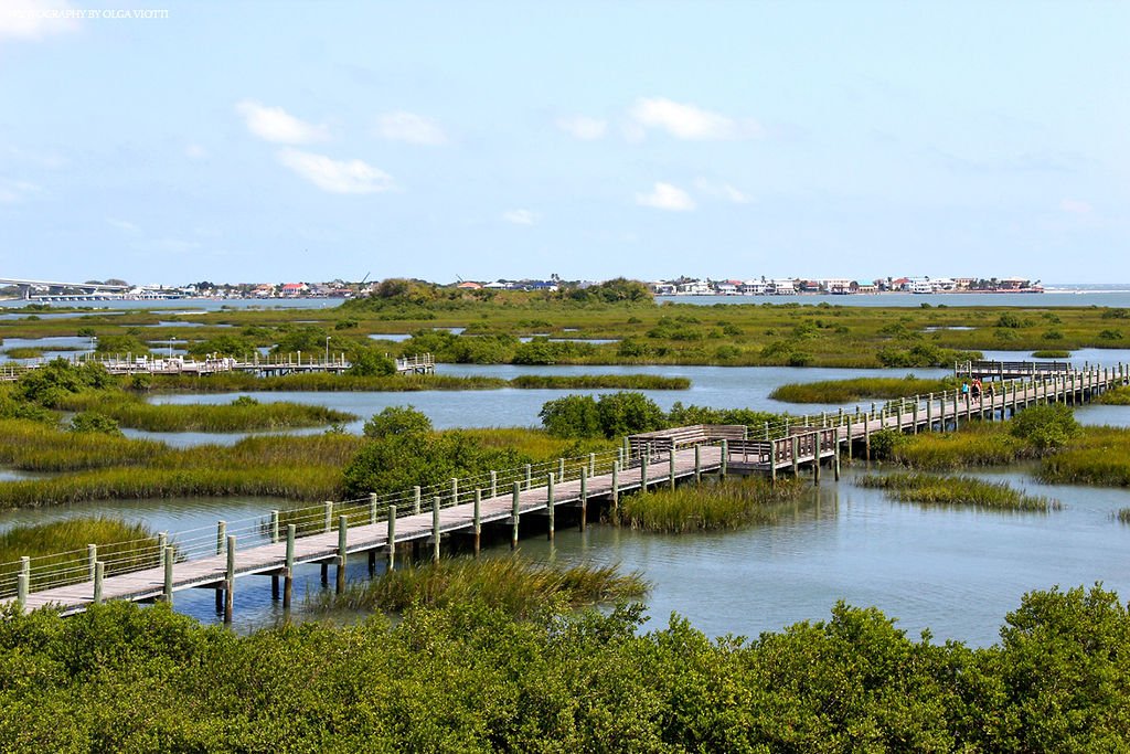 Marsh and waterfront views on Anastasia Island in St. Augustine, FL