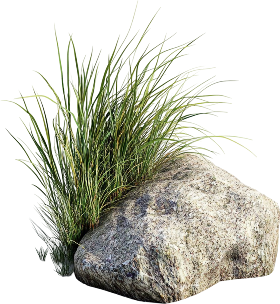 A large rock with tall green grass growing beside it.