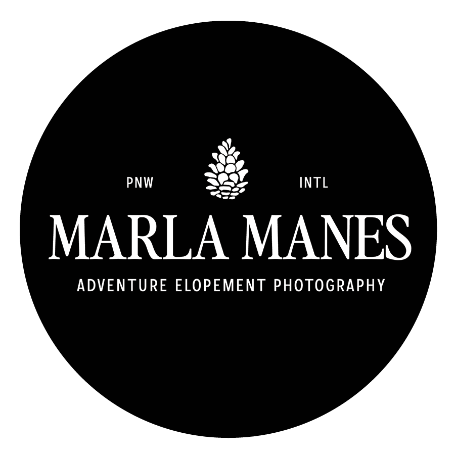 Single Light Gray Circle - Marla Manes Photography.png