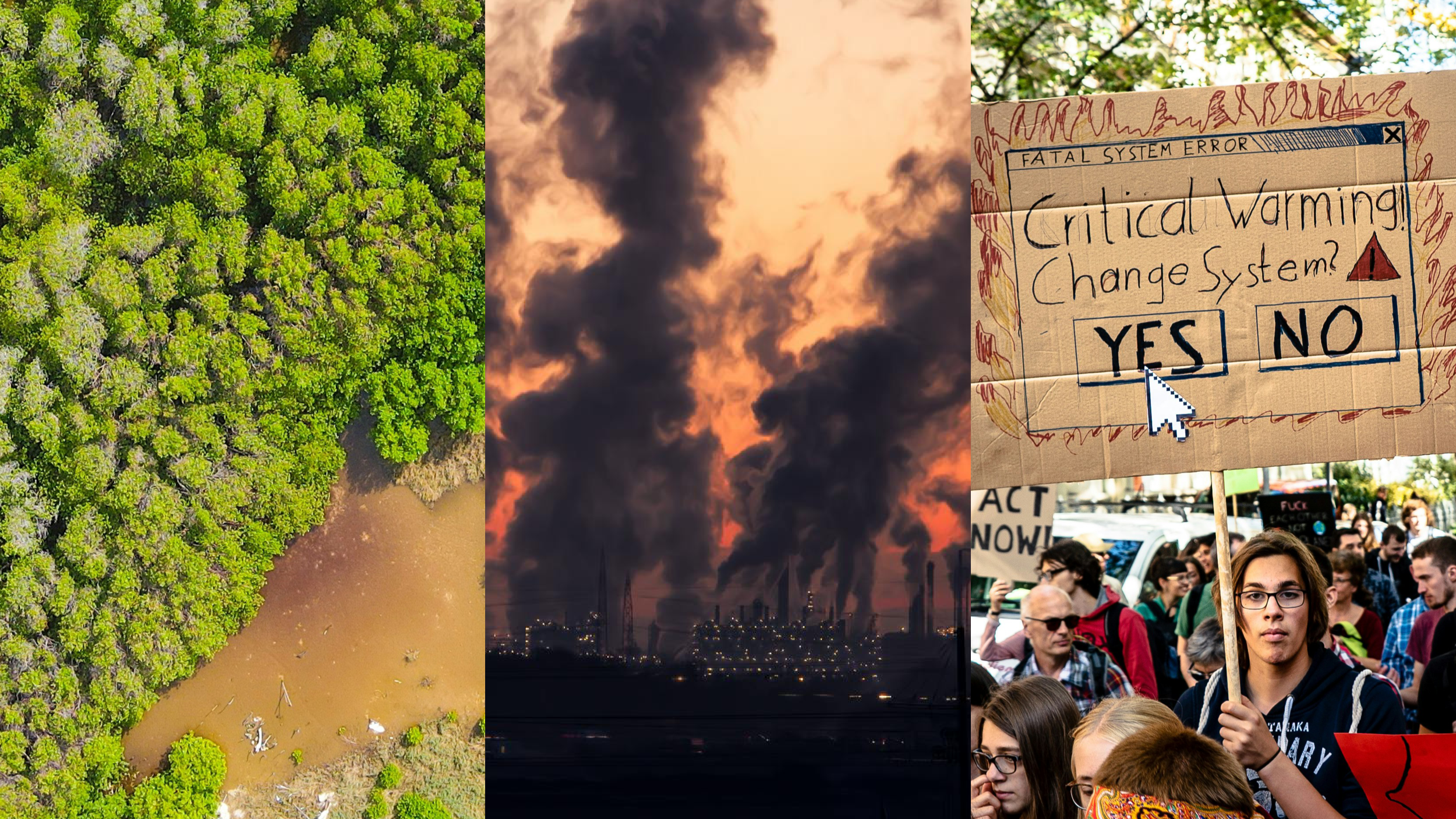 Big Oil is Fueling the Climate Crisis: Here’s How We Can Change Our System