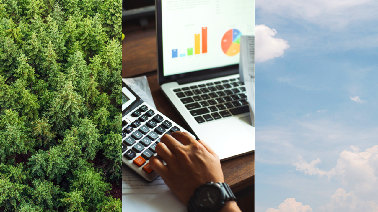 Looking Beyond Numbers: Embracing the Full Spectrum of Sustainability for Lasting Business Impact