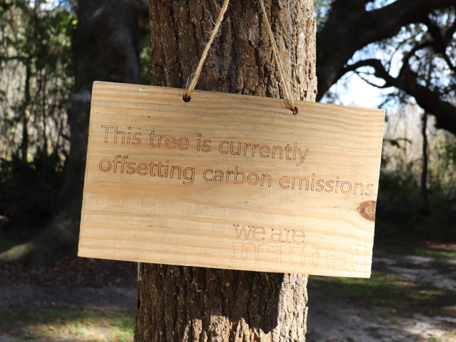 This Tree Is Currently Offsetting.png