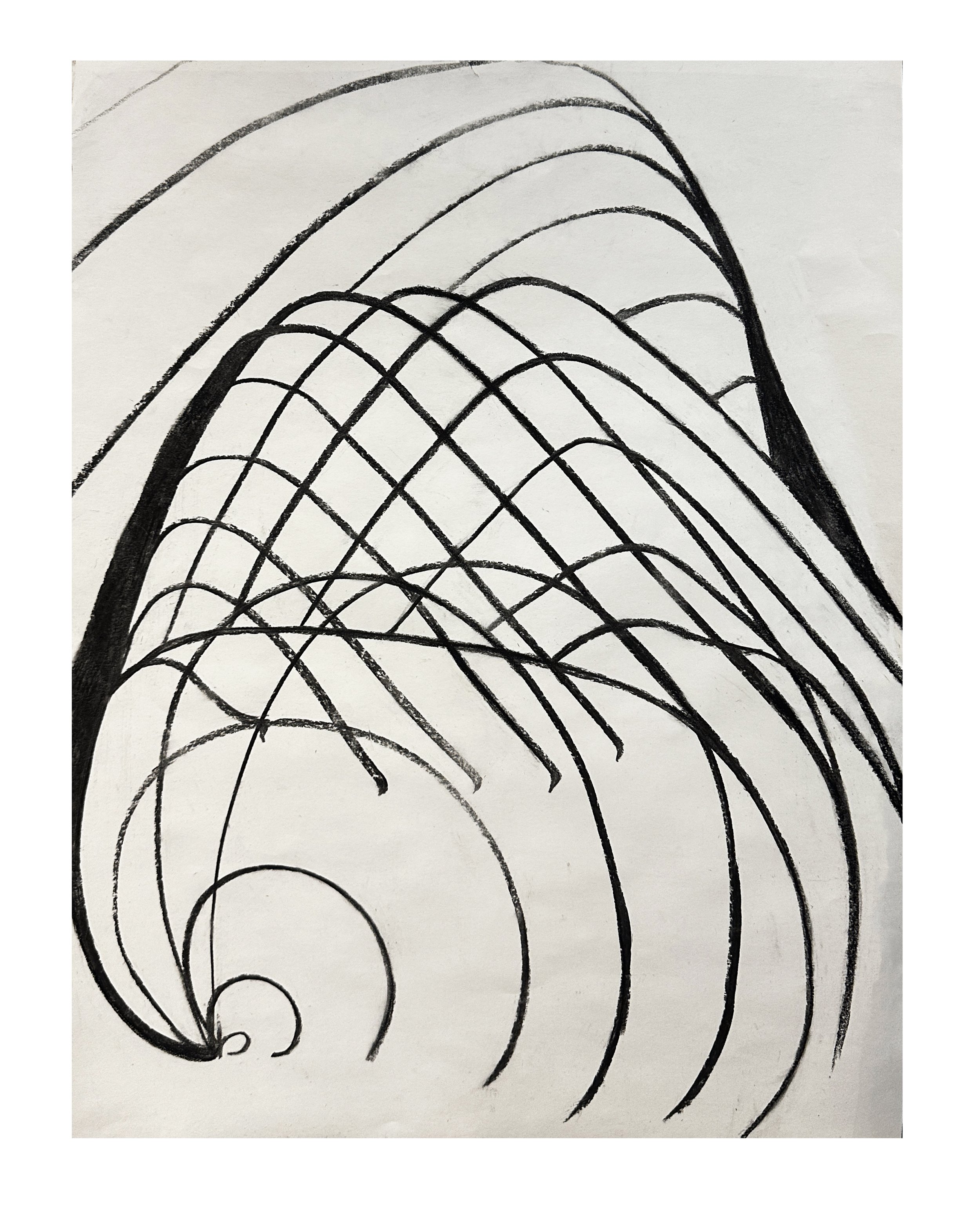 Alternate Realities, 24 x 18 in., Charcoal
