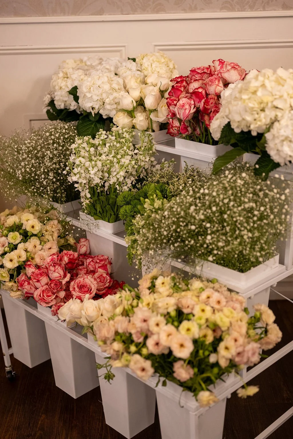 DSC_9239.jpg