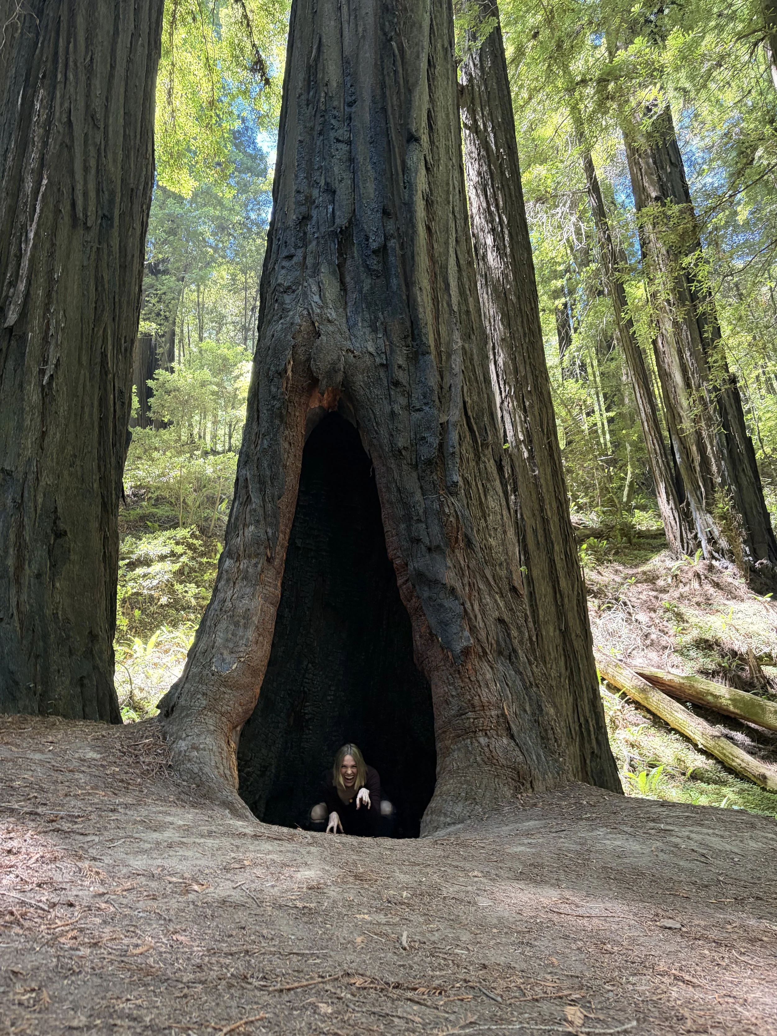 From Terrified to Here! The Road Trip, the Chaos, and the Floor of My New Home