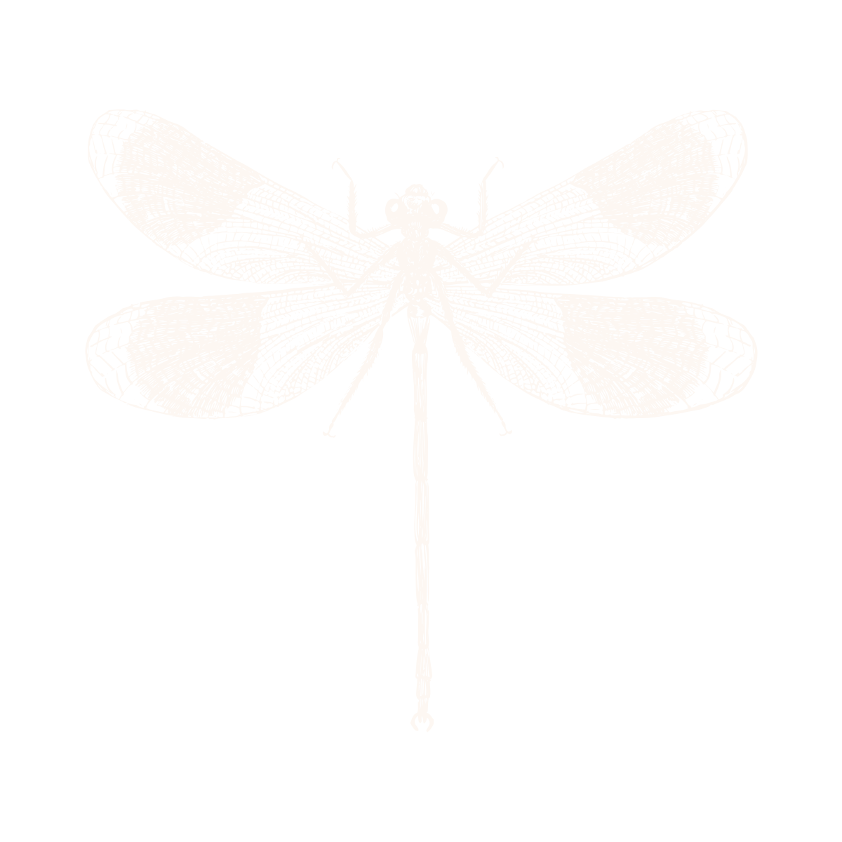 Custom website design for a spiritual coach focused on soul-aligned branding and backend strategy