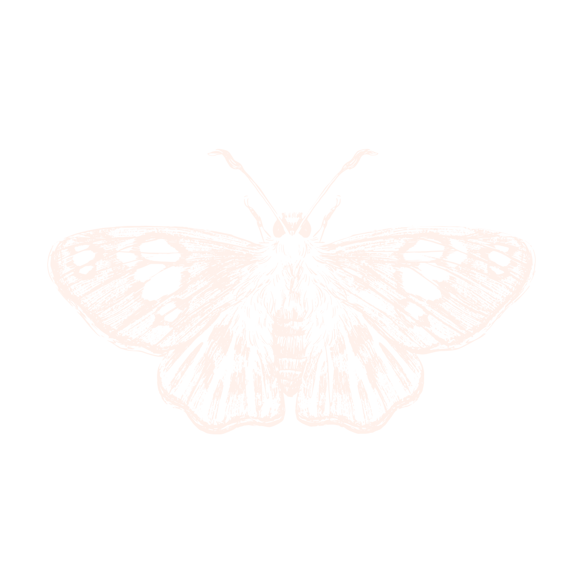 Custom website design for a spiritual coach focused on soul-aligned branding and backend strategy