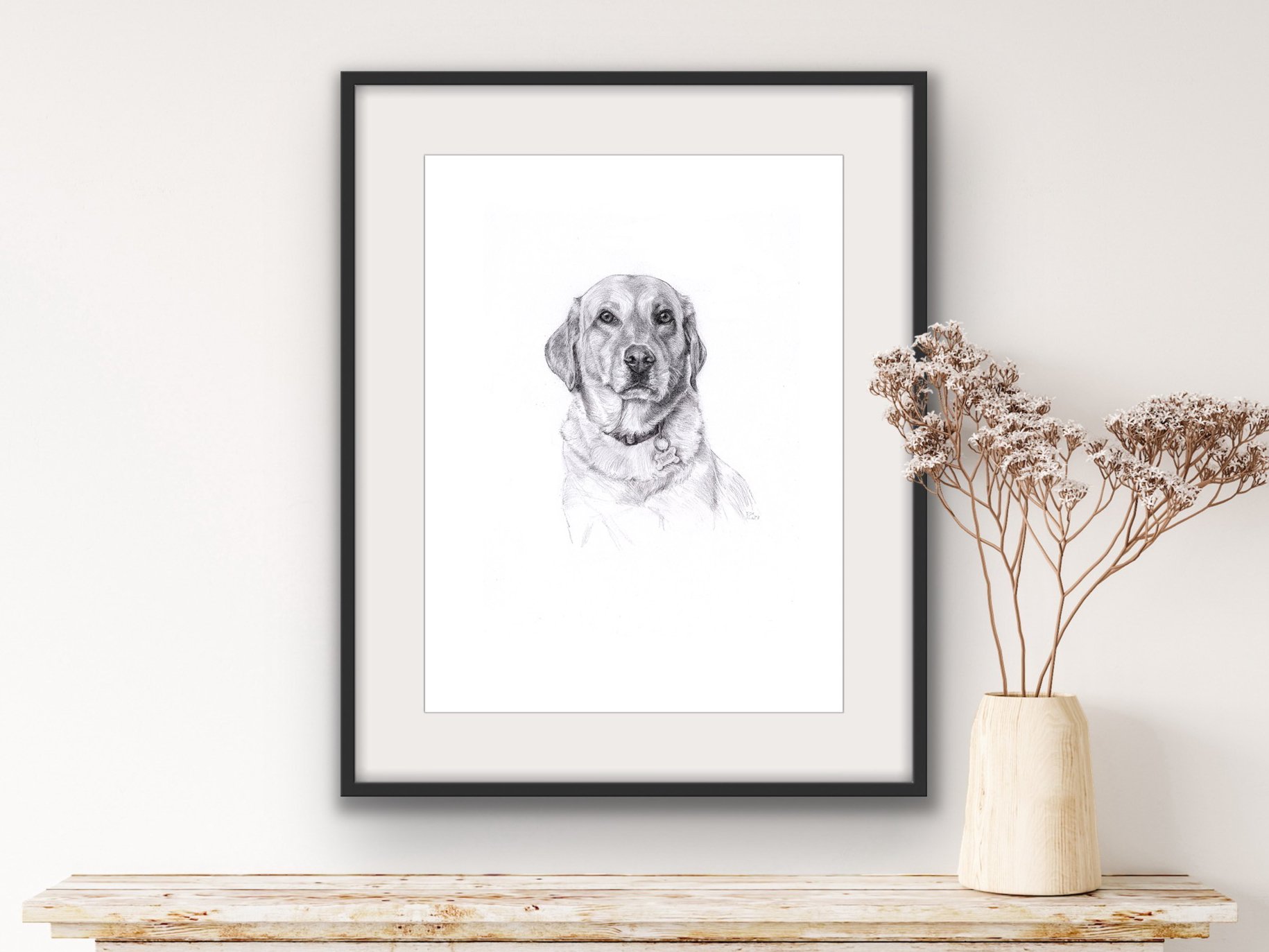 Pencil Drawing Labrador Dog.jpg