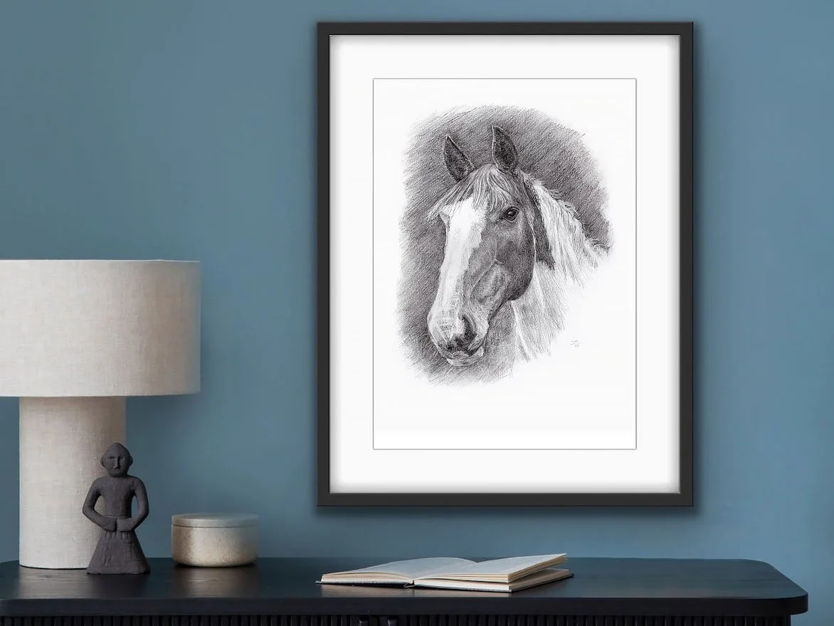 Beautiful Drawing of Horse.jpg