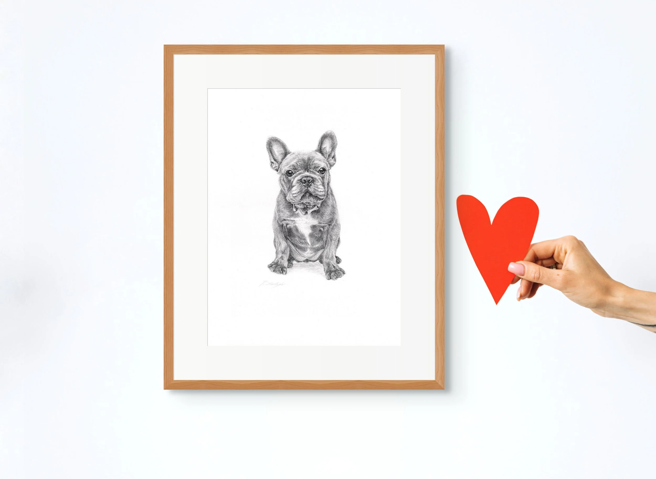 Pencil Drawing French Bulldog.jpg