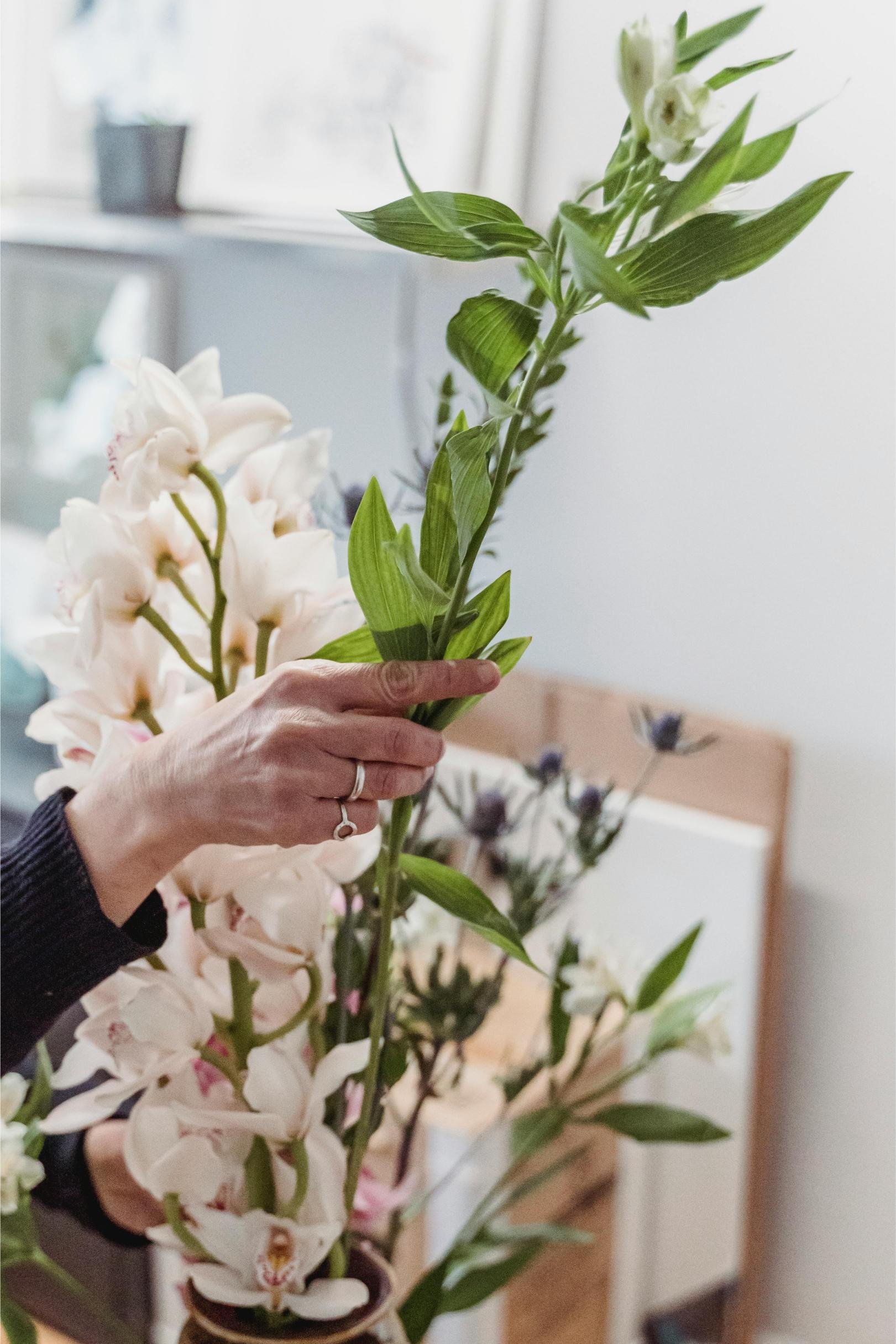 Midlife Therapy: When Success Stops Feeling Like Enough