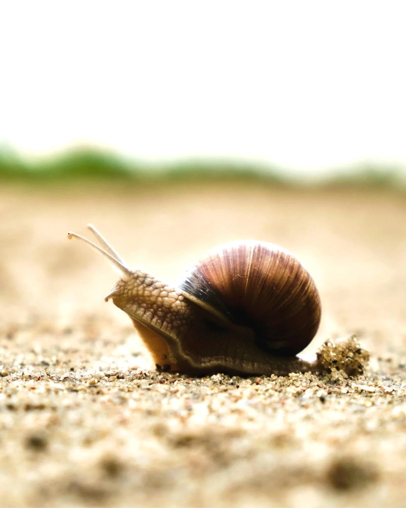 Support for emotional overwhelm, life transitions, loss, and rediscovering meaning. Serving clients in Bellingham and throughout Washington via telehealth.