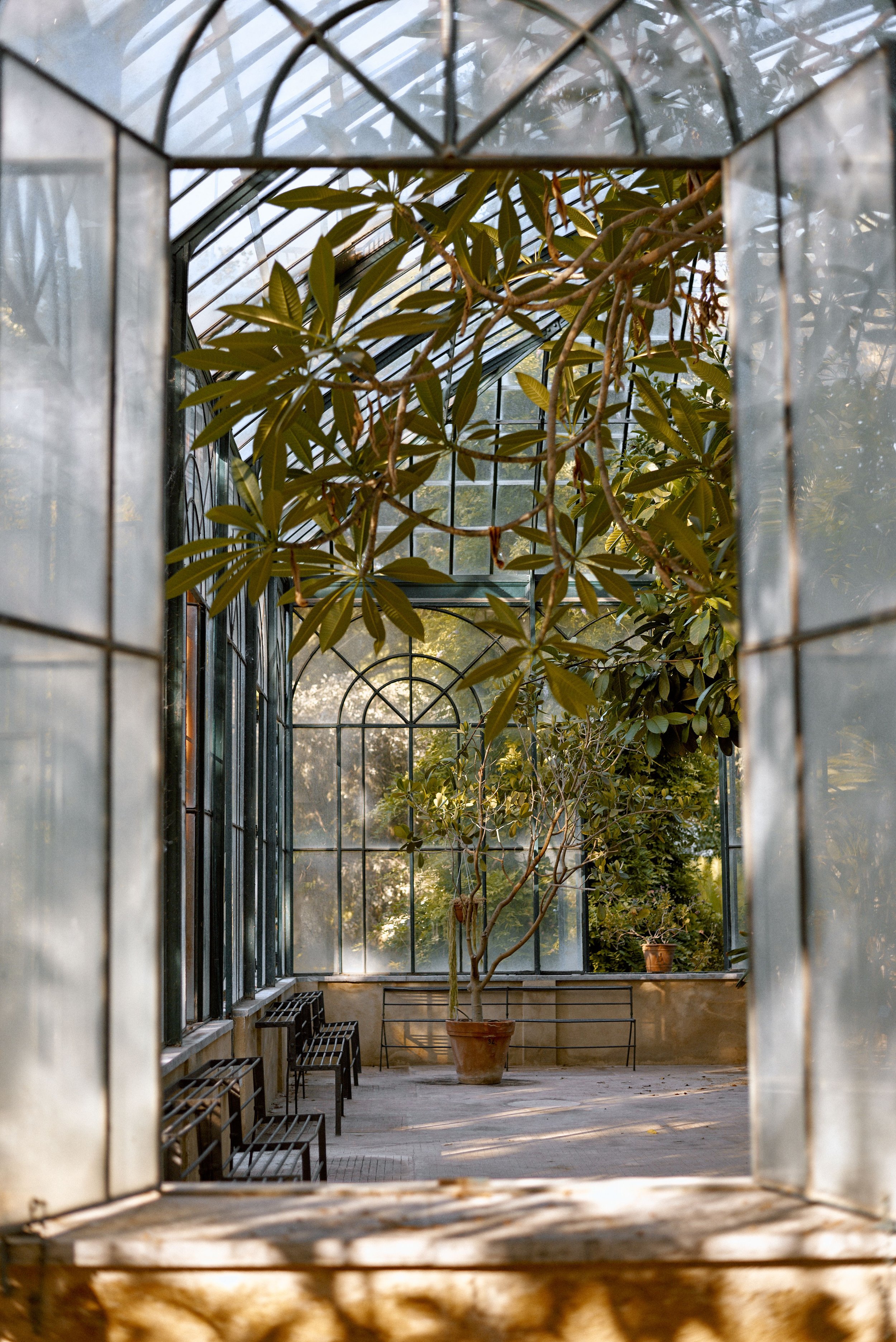 Window overlooking a courtyard with sunlight and shadow, representing the grounded, embodied focus of somatic EMDR therapy