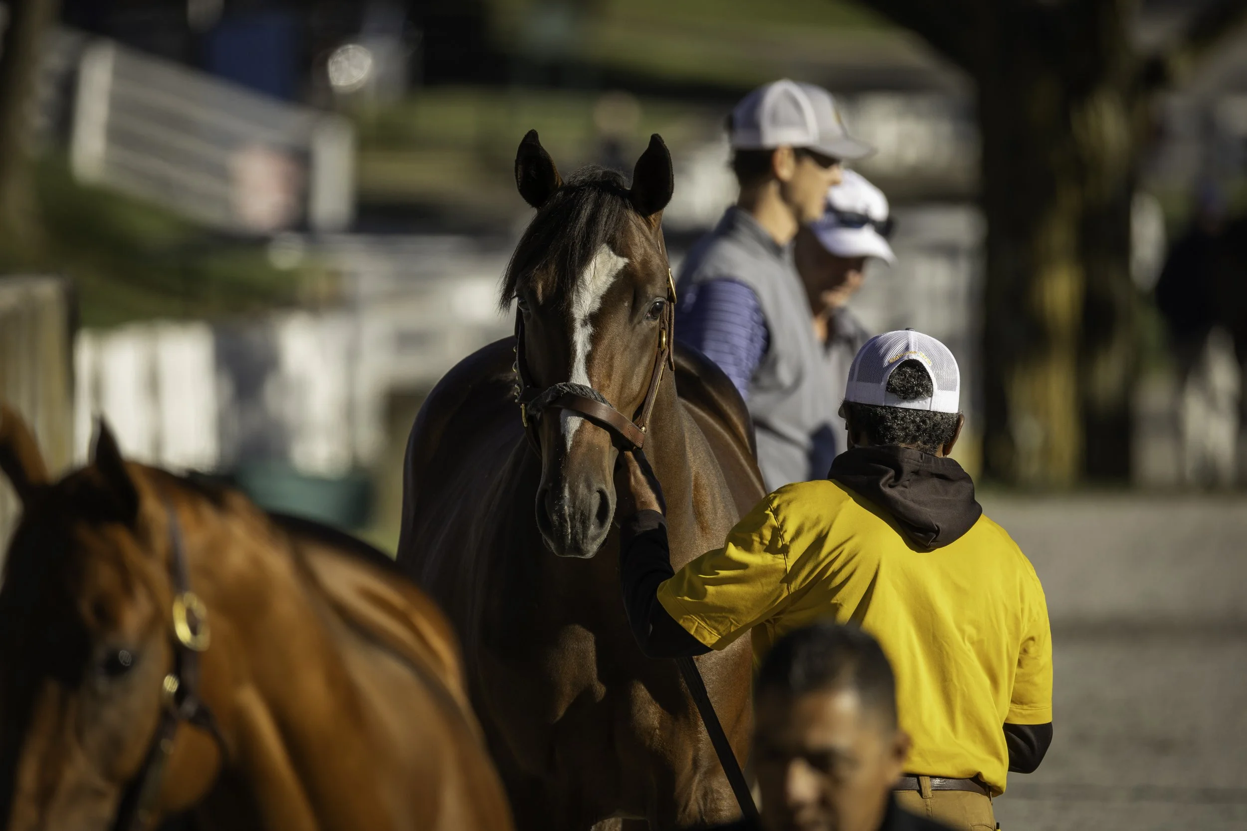 240907KeenelandSales_R62_0080.jpg