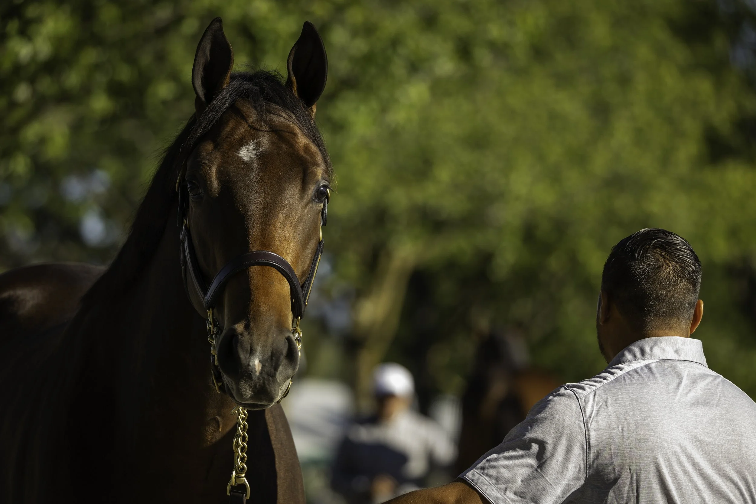 240907KeenelandSales_R62_0038.jpg