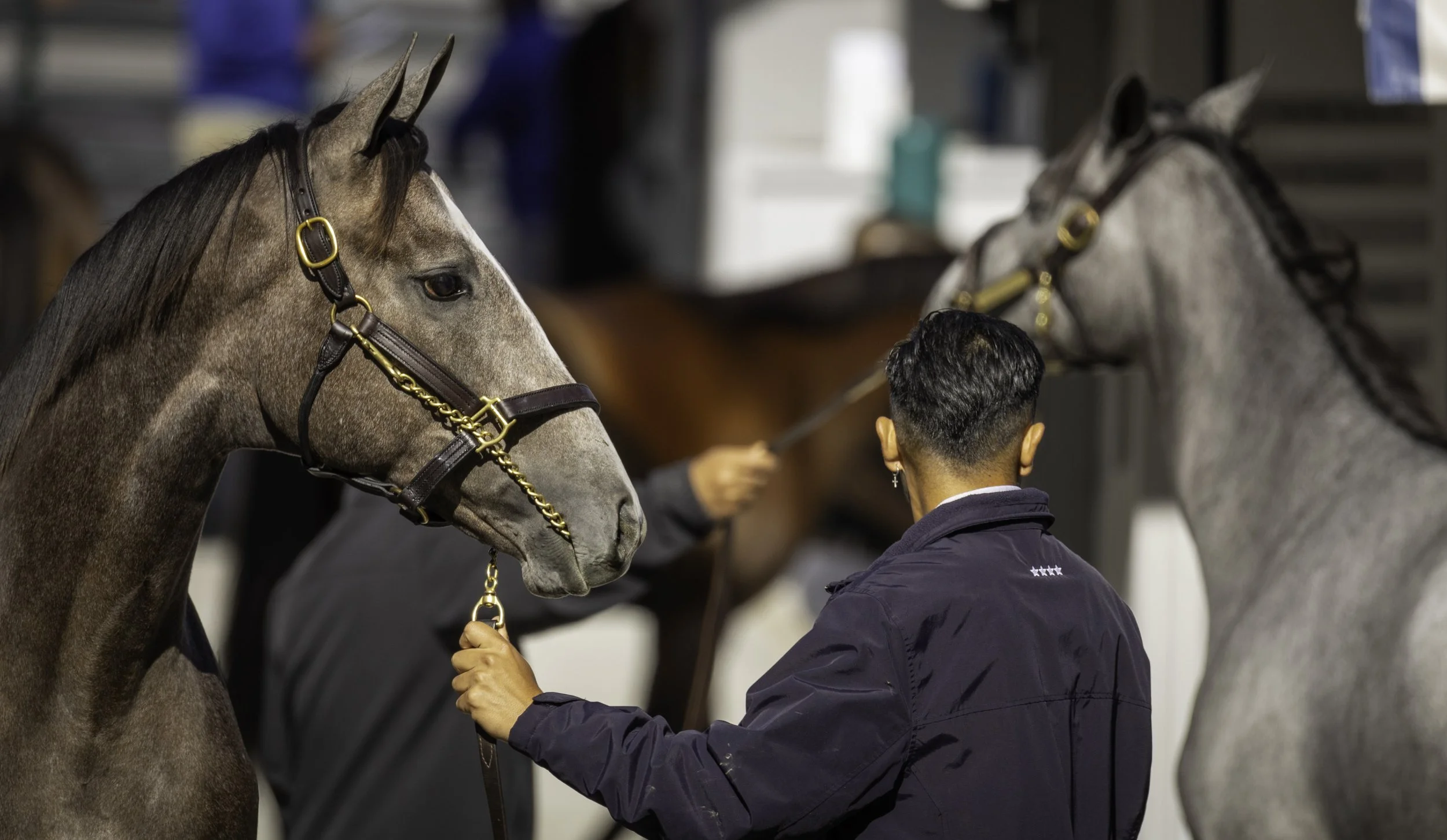 240907KeenelandSales_R62_0109.jpg