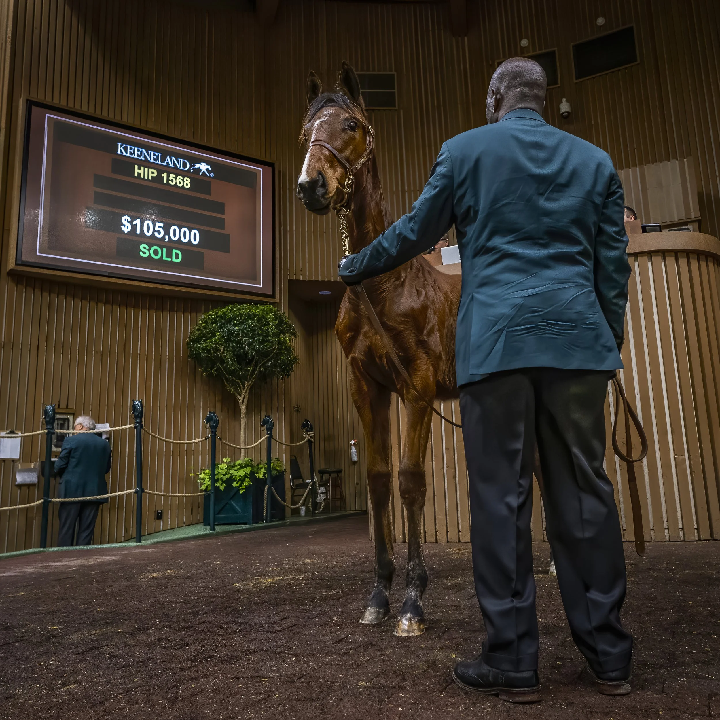 230112KeenelandSalesJanSold-.jpg