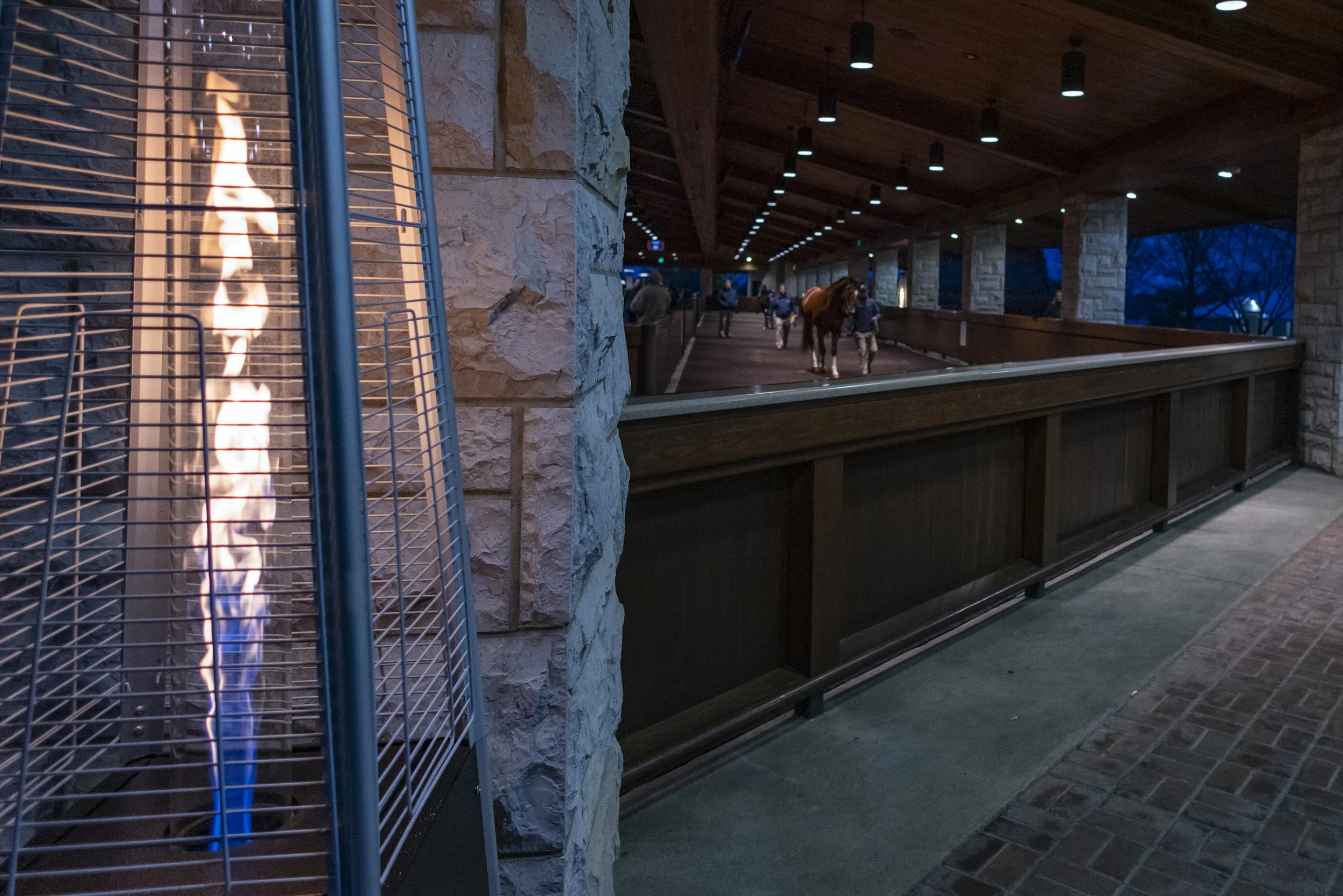 230112KeenelandSalesJan-2337.jpg